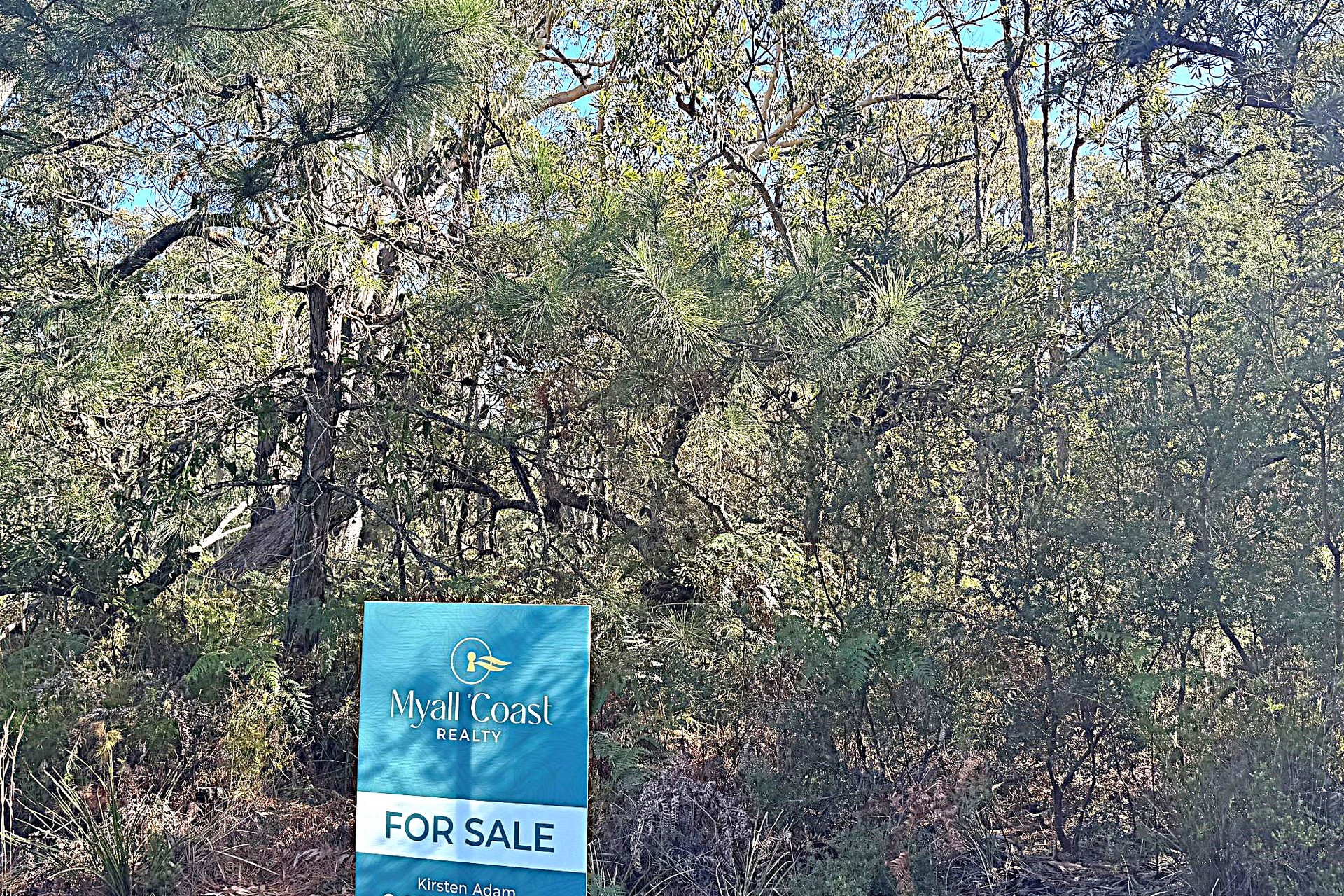 10 Nardoo Street, Pindimar, Nsw, 2324 - Image 1