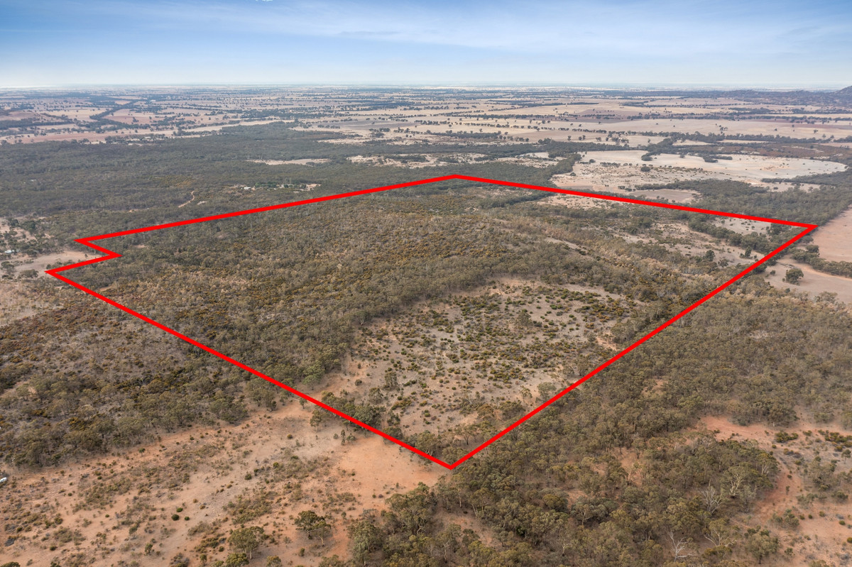Sec 15 Mitchell Lane, Wedderburn, Vic, 3518 - Image 1