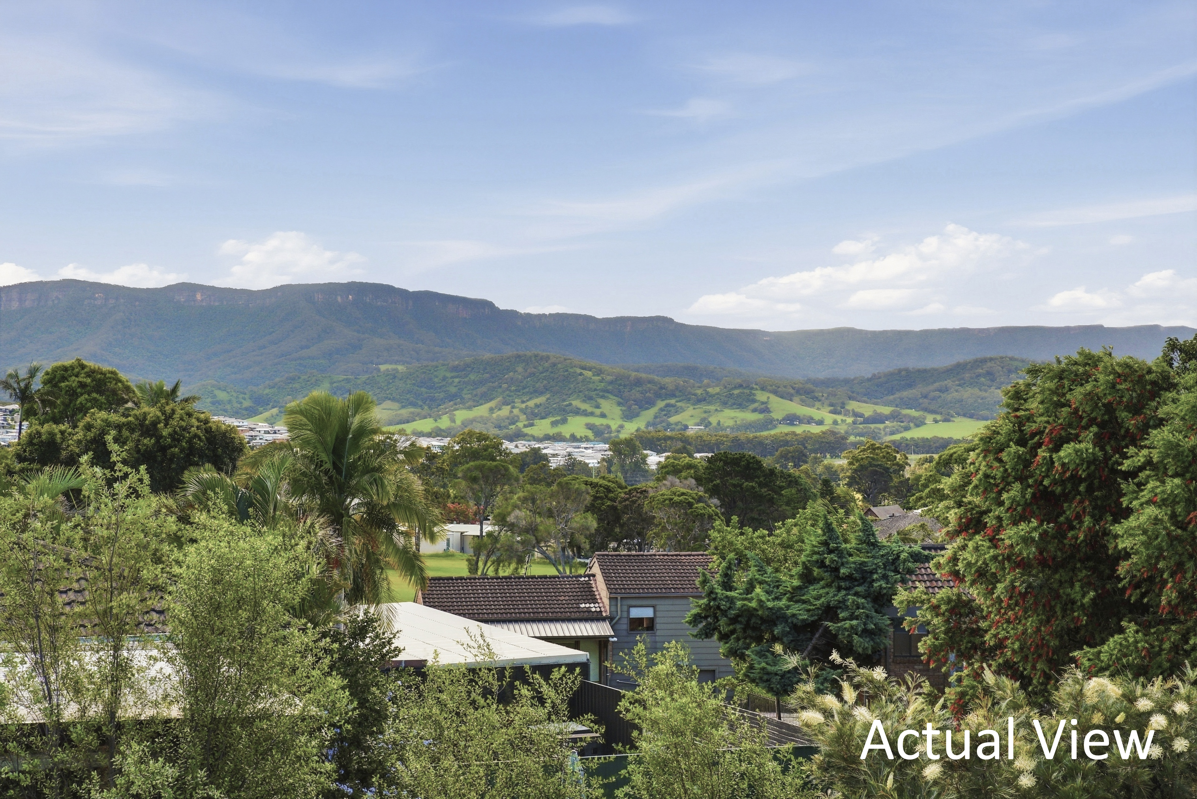 49 Church Street, Albion Park, NSW 2527 - Image 3