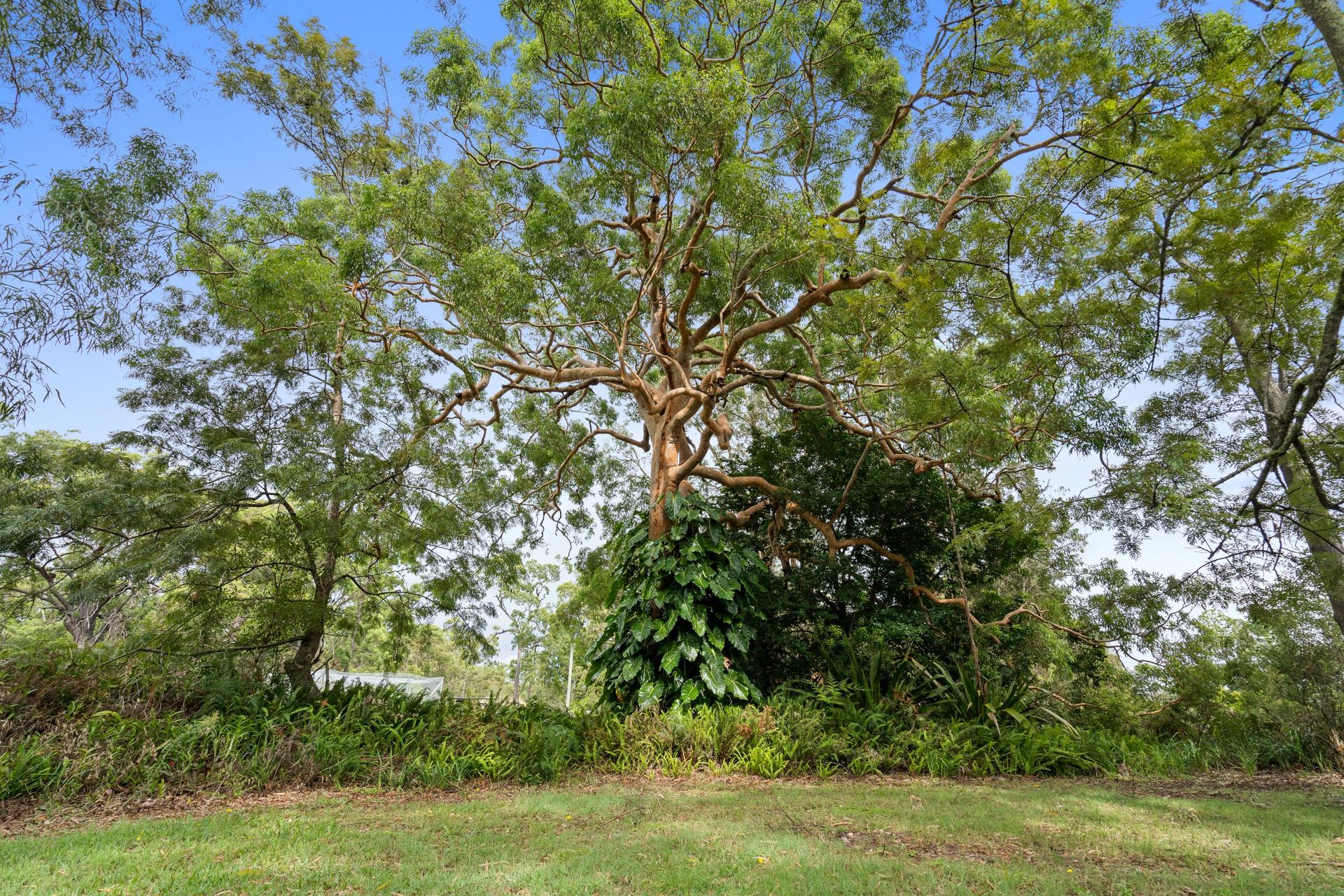 3-bedroom house at 87-91 Koree Street, Pindimar, NSW 2324, Mid-Coast, New South Wales