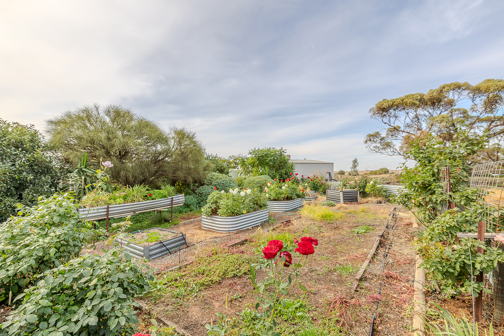 5-bedroom house at 310 Poole Road, Ouyen, VIC 3490, Mildura, Victoria