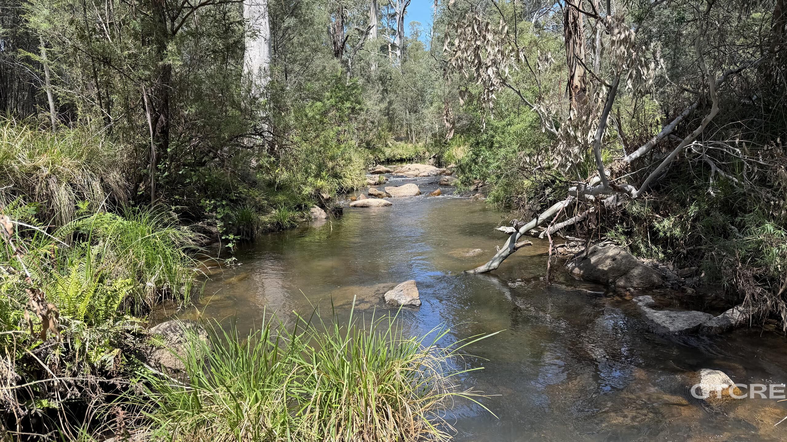 2-bedroom house at 1259 Mckillops Road, Bonang, VIC 3888, East Gippsland, Victoria