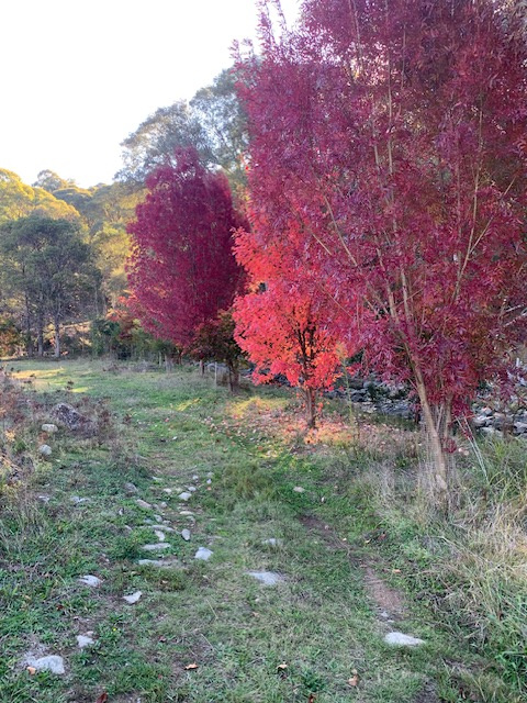 Part 1420 Goobarragandra Road, Tumut, Nsw, 2720 - Image 10