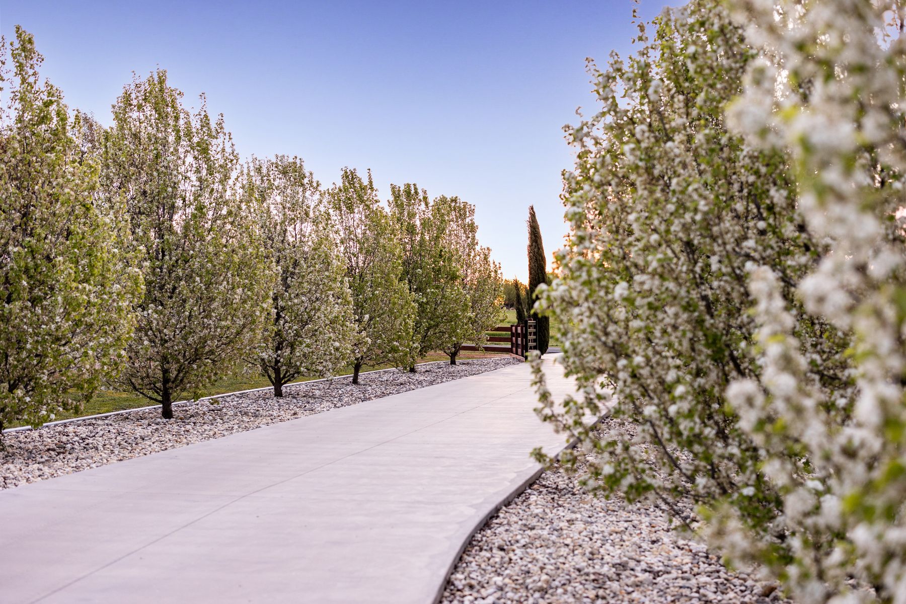 52 Sunrise Crescent, Lockwood South, Vic, 3551 - Image 8