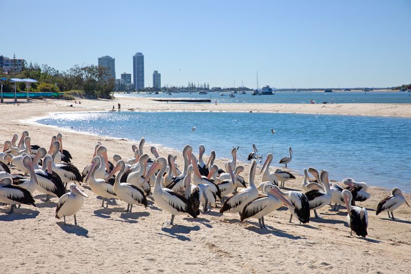2-bedroom unit at 4/150 Frank Street, Labrador, Qld, 4215, Gold Coast, Queensland