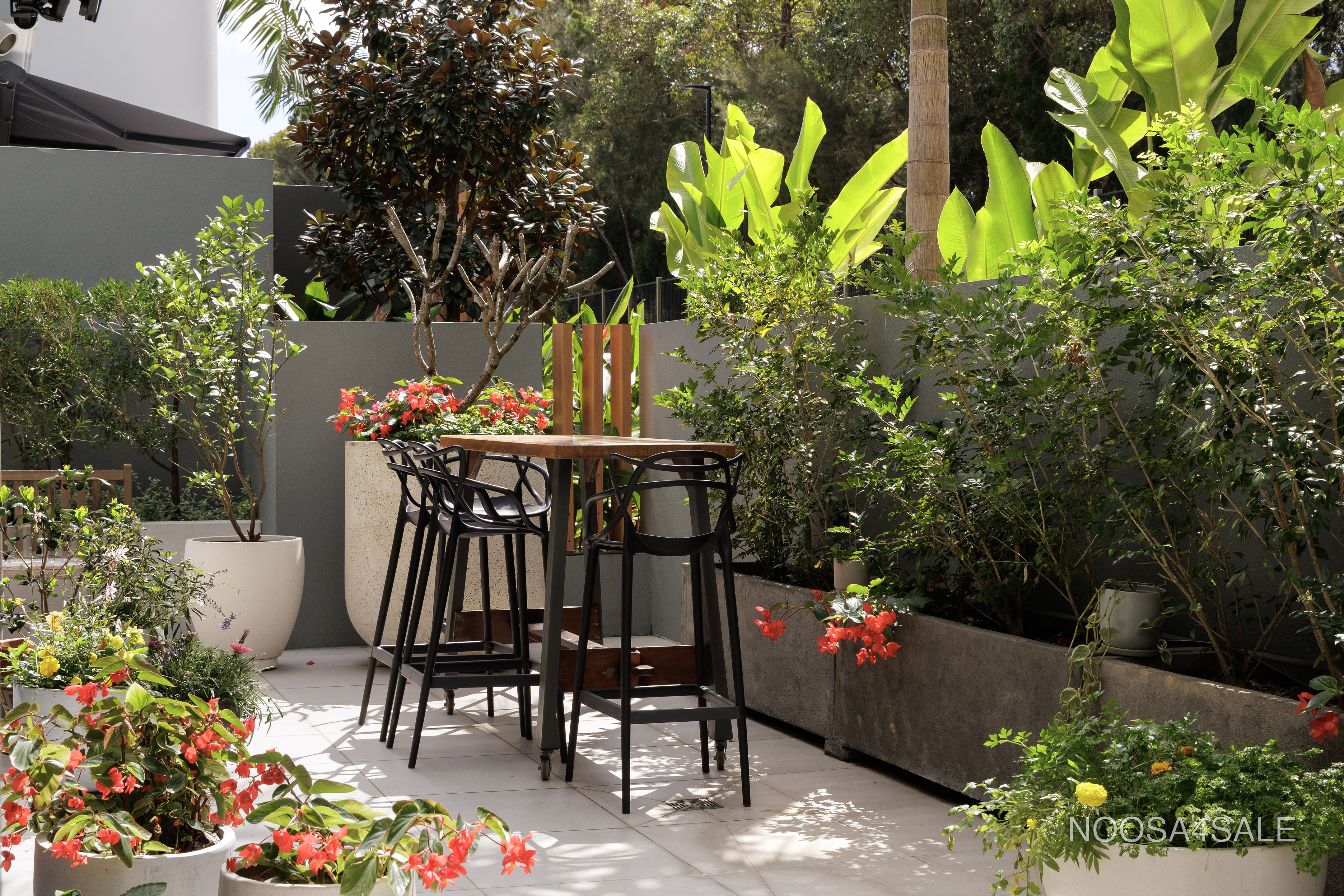 2415/19 Lakeview Rise, Noosa Heads, QLD 4567 - Image 1