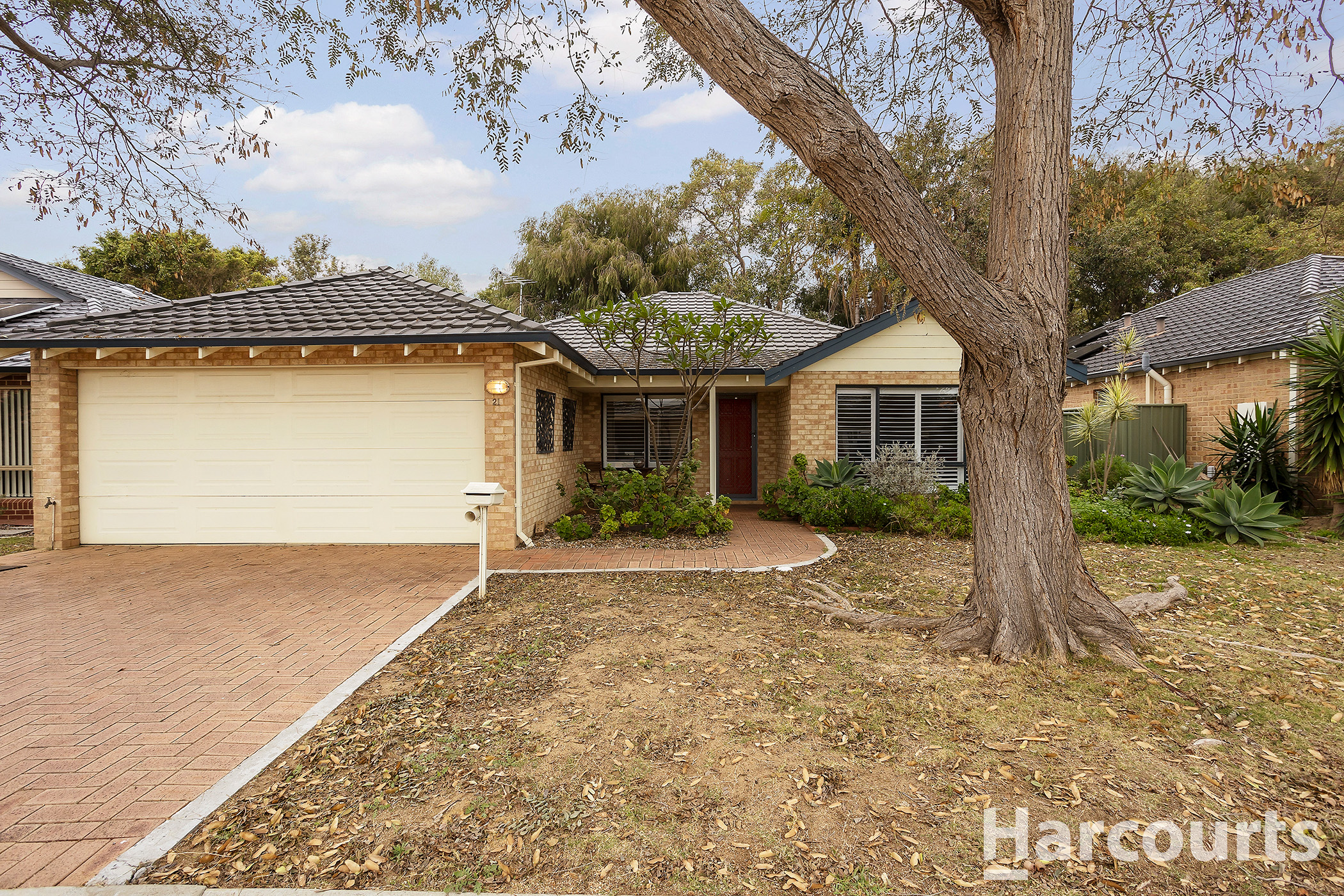 21 Lemongrass Way, Falcon, WA 6210 - Image 2