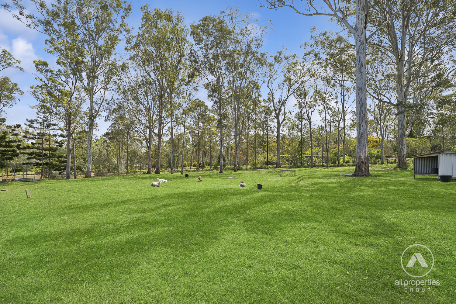 5-bedroom house at 66-78 Paula Road, South Maclean, QLD 4280, , Queensland