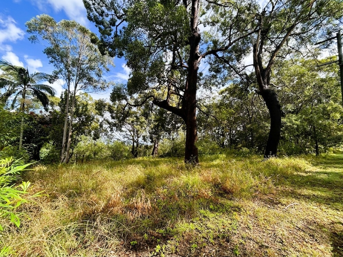 10 Deenya Parade, Russell Island QLD 4184 - Image 3