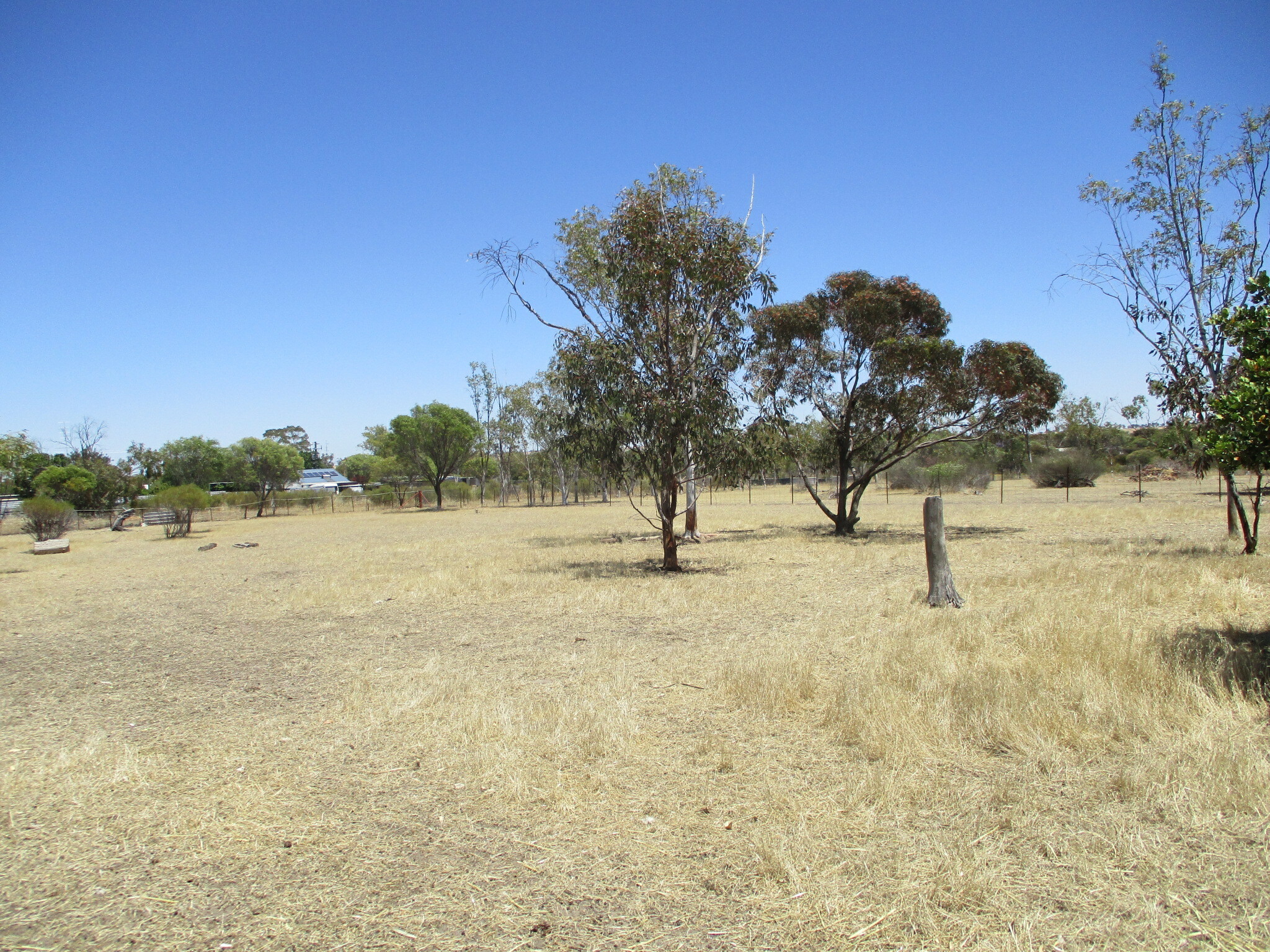 3-bedroom house at 7 Johnston Street, Meckering, WA 6405, Cunderdin, Western Australia