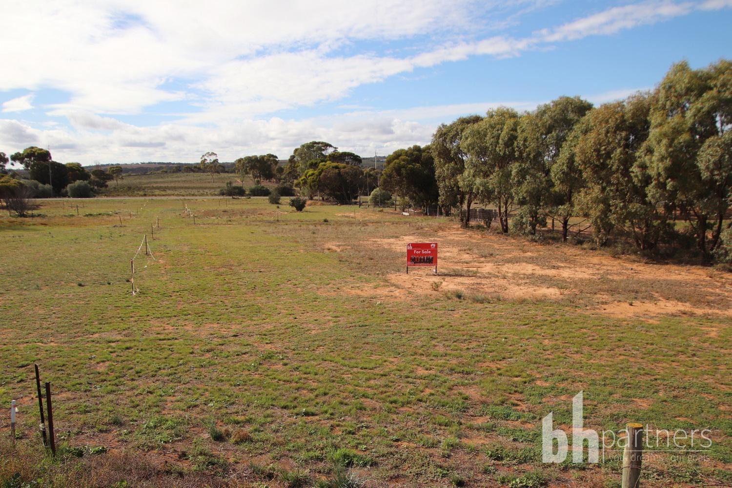 145 Dollard Avenue, Mannum, Sa, 5238 - Image 6