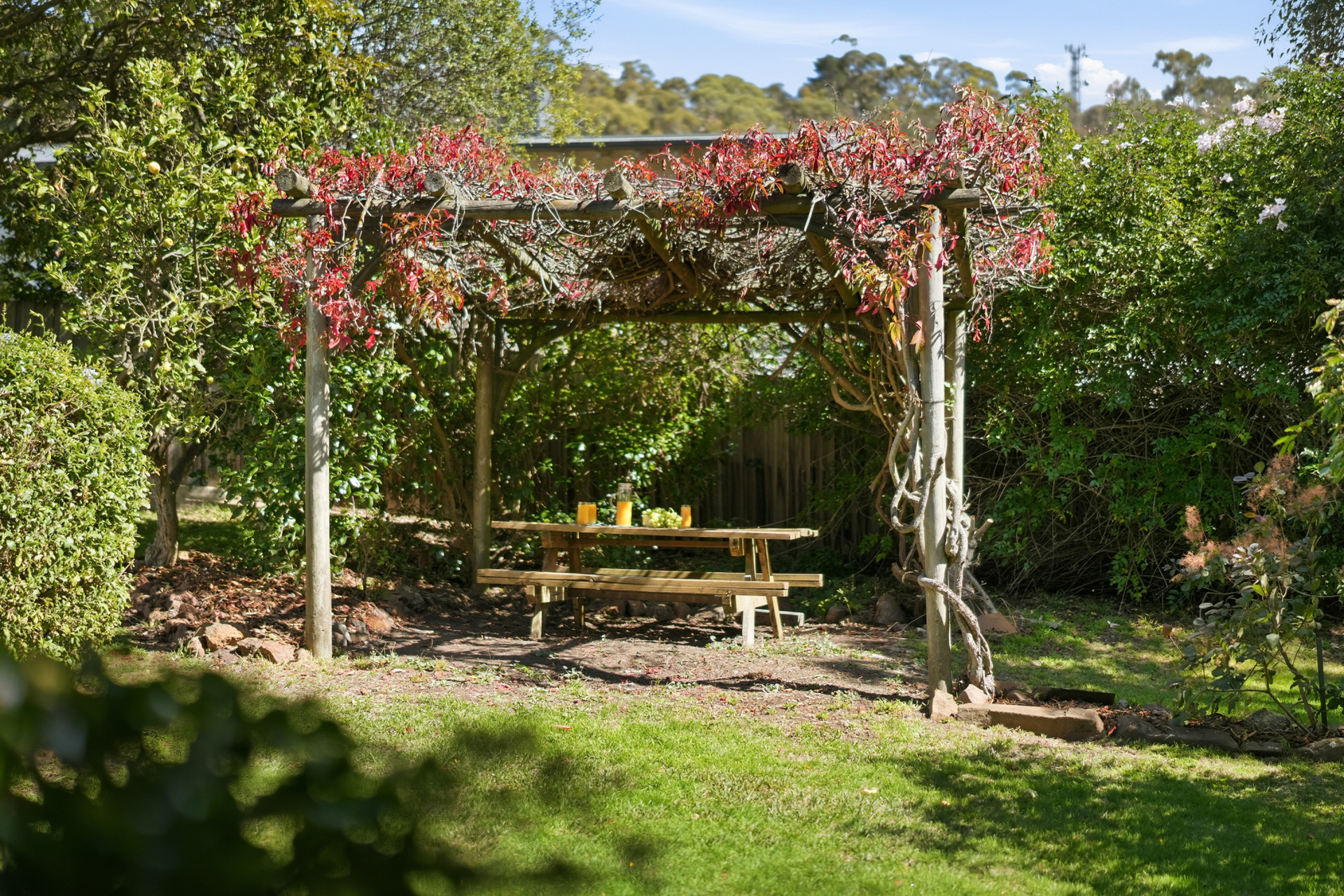 24 DUKE STREET, West Launceston TAS 7250 - Image 7