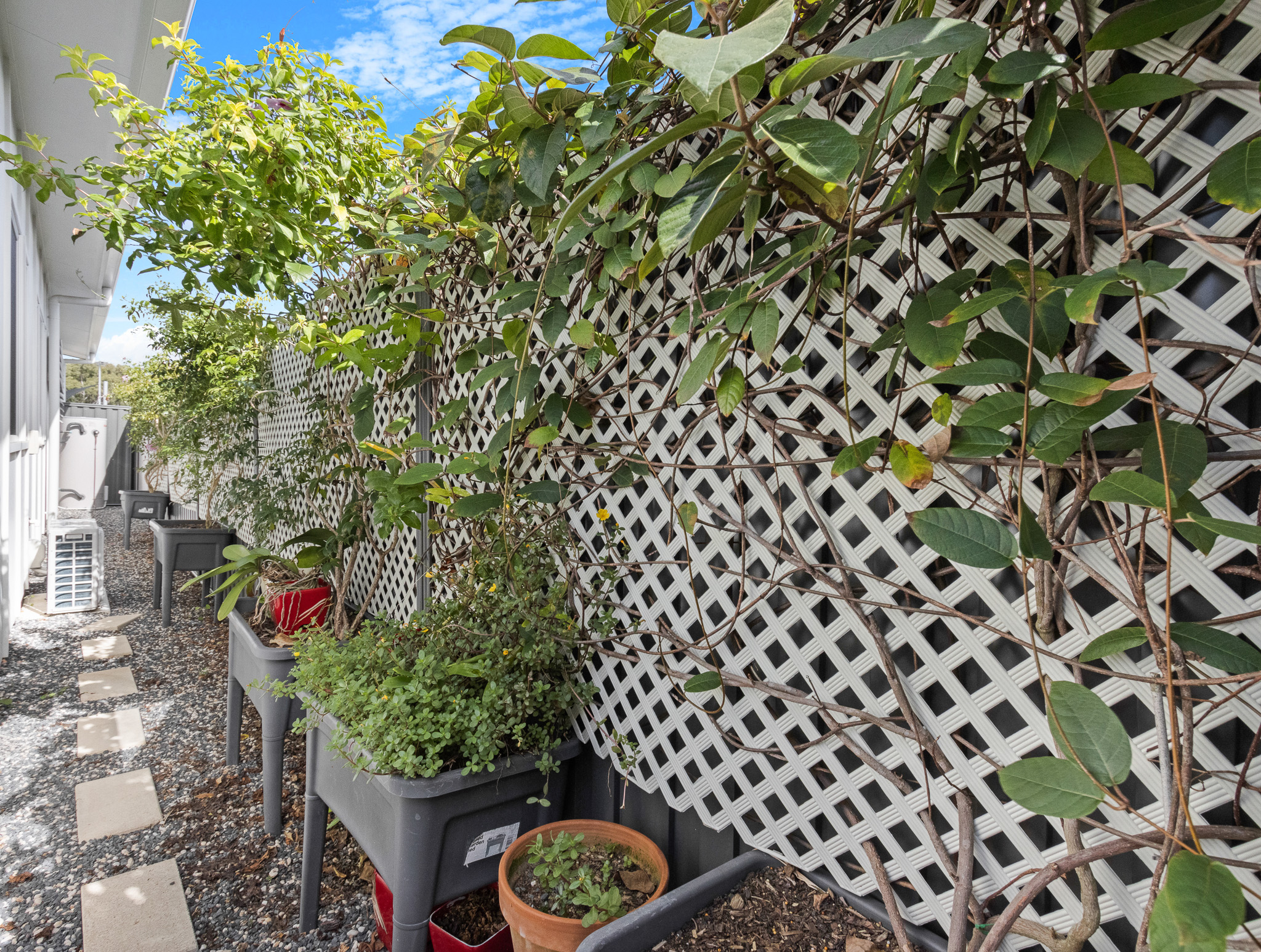 20/835 Boat Harbour Drive, Urangan, Qld, 4655 - Image 5