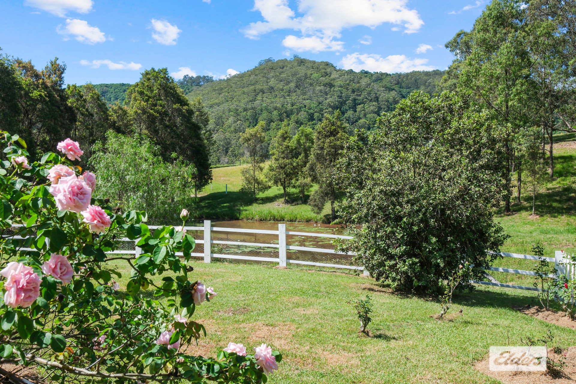 5-bedroom house at 3598 THE BUCKETTS WAY, Krambach NSW 2429, Mid-Coast, New South Wales