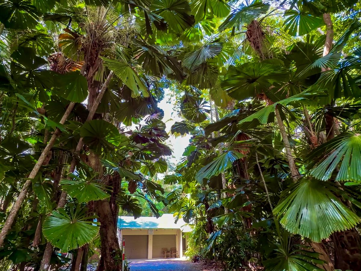 3-bedroom house at 3 KURRAJONG CLOSE, Wongaling Beach QLD 4852, Cassowary Coast, Queensland