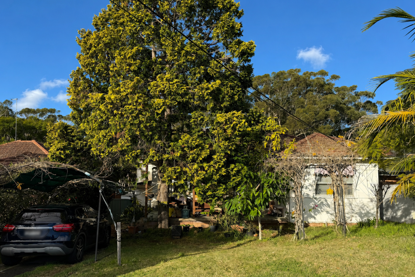 6 Fletcher Avenue, Miranda, NSW 2228 - Image 6