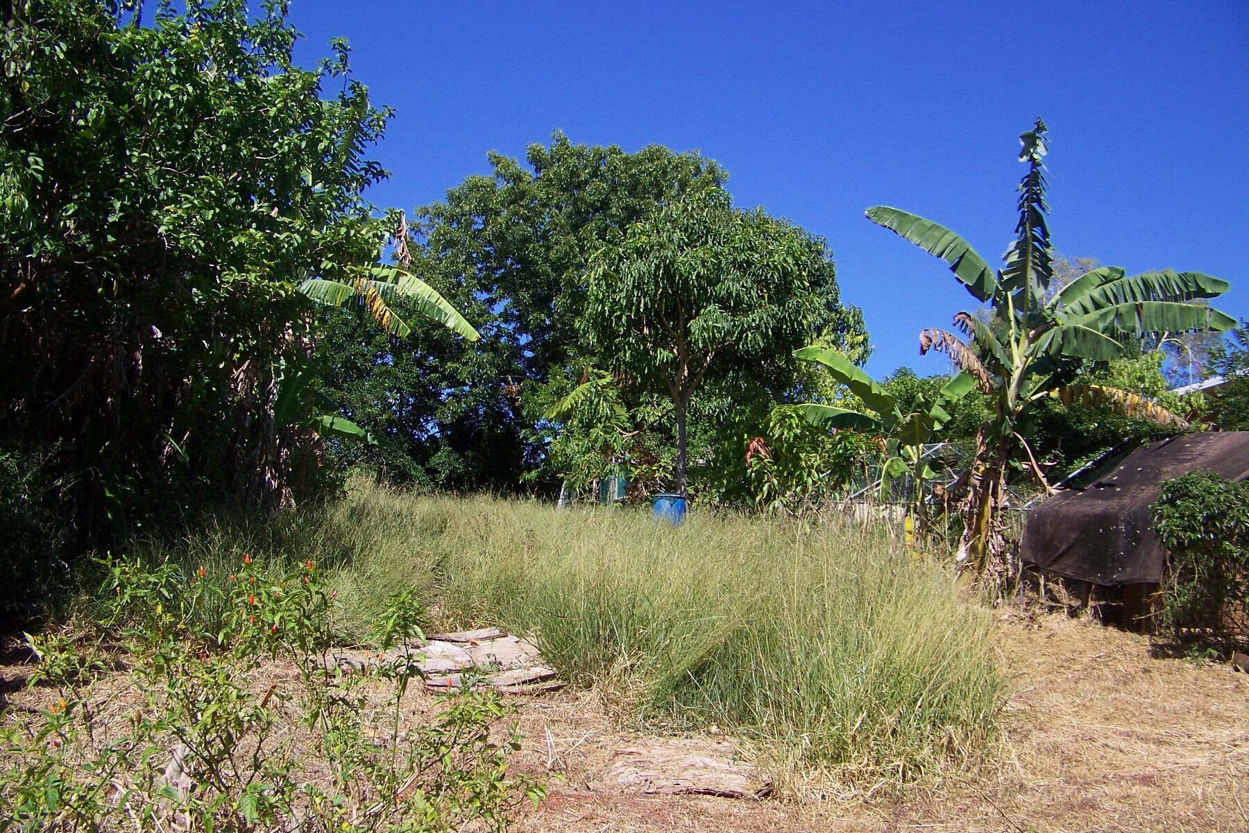 29 Pine Avenue, Lamb Island, Qld, 4184 - Image 3