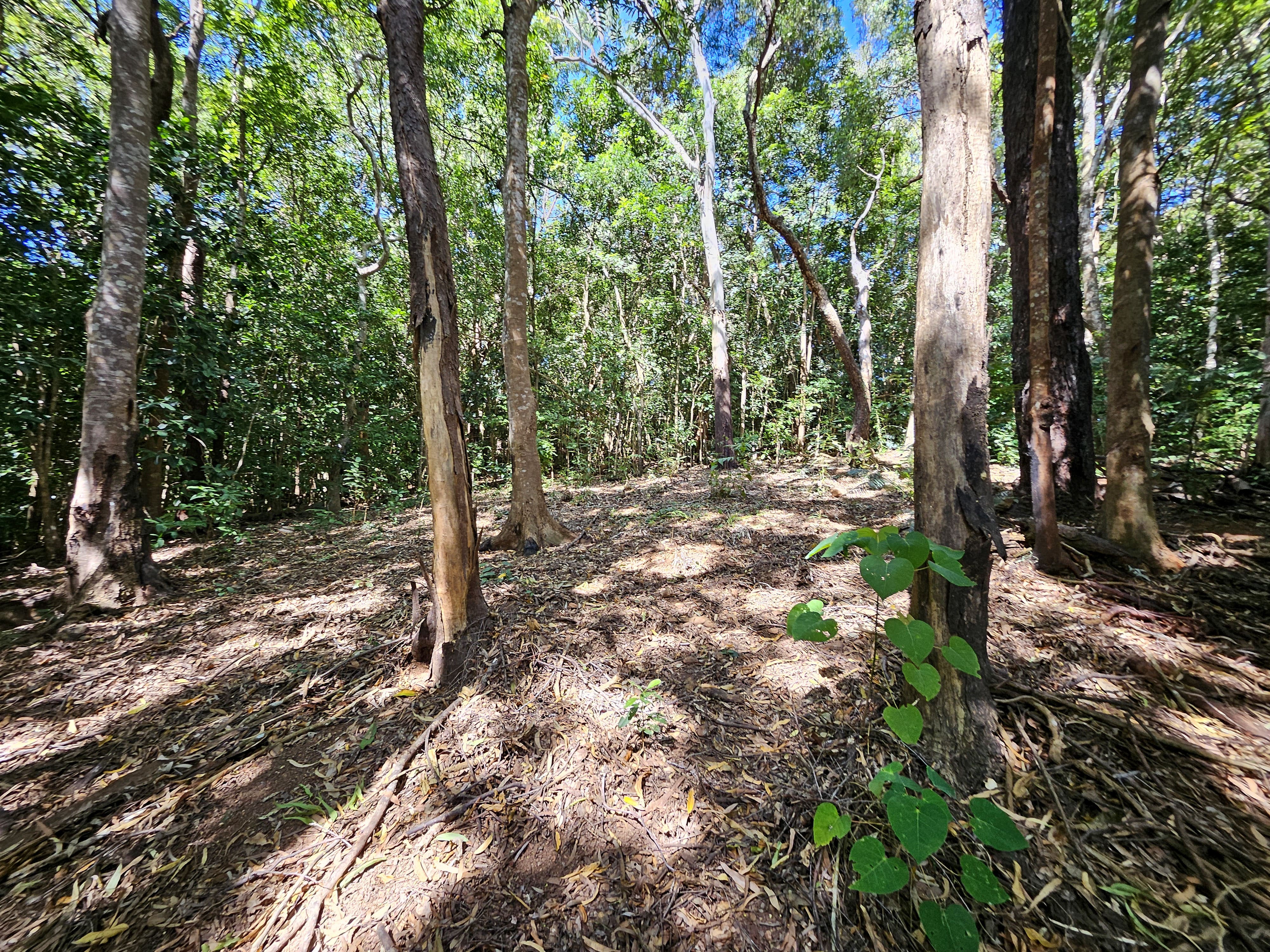 1-bedroom unit at 43 Mulligan Highway, Cooktown, QLD 4895, Cook, Queensland