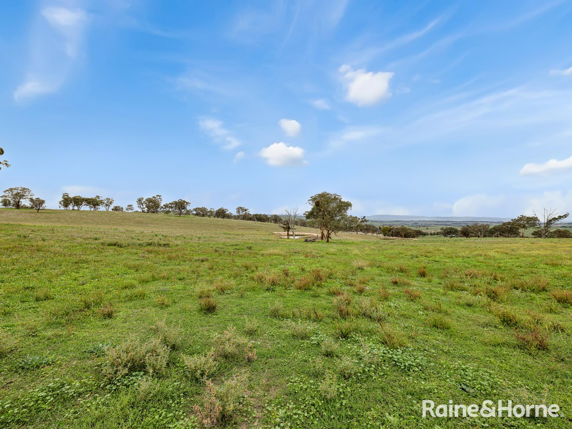 5-bedroom house at 223 Wimbledon Road, Georges Plains, NSW 2795, Bathurst, New South Wales