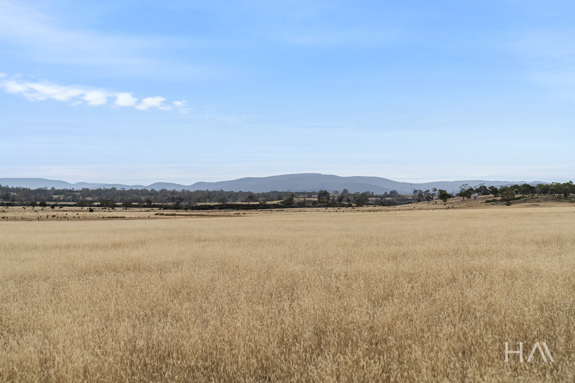 Lot 50 Springs Road, Swansea, Tas, 7190 - Image 5