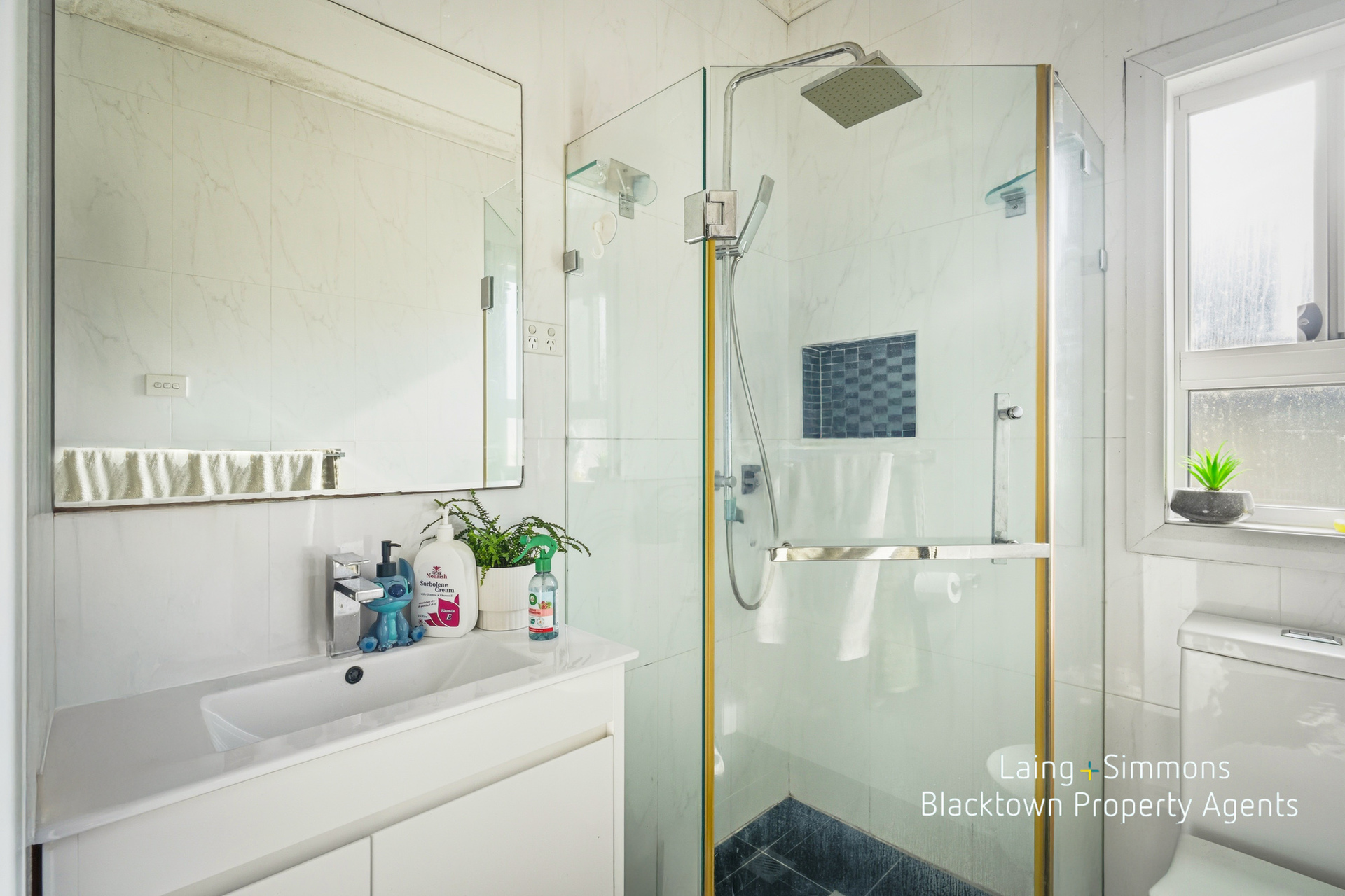 38 Dagmar Crescent, Blacktown, NSW 2148 - Image 9