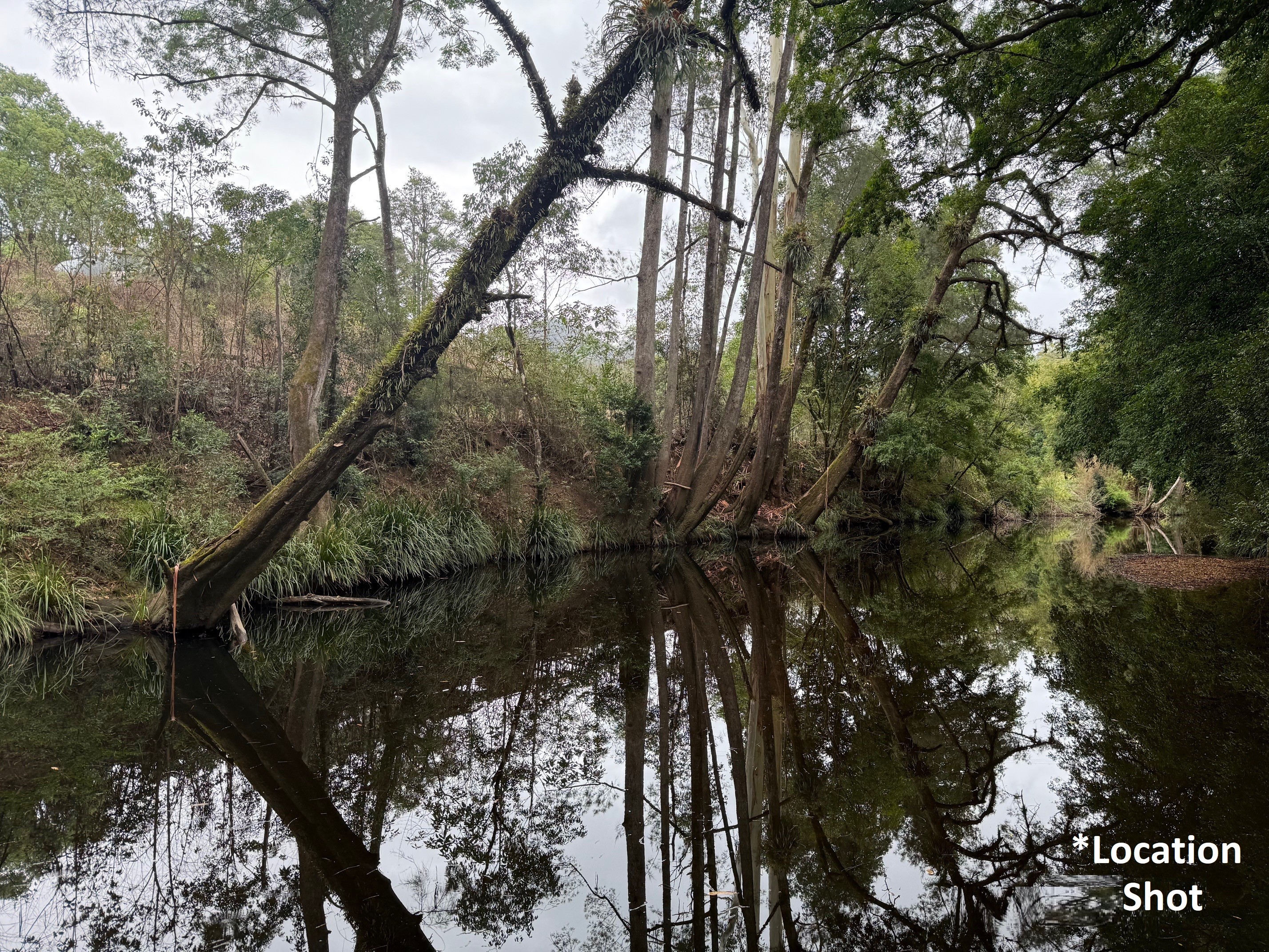 2-bedroom house at 170 Kippax Road, Kippaxs, NSW 2429, Mid-Coast, New South Wales