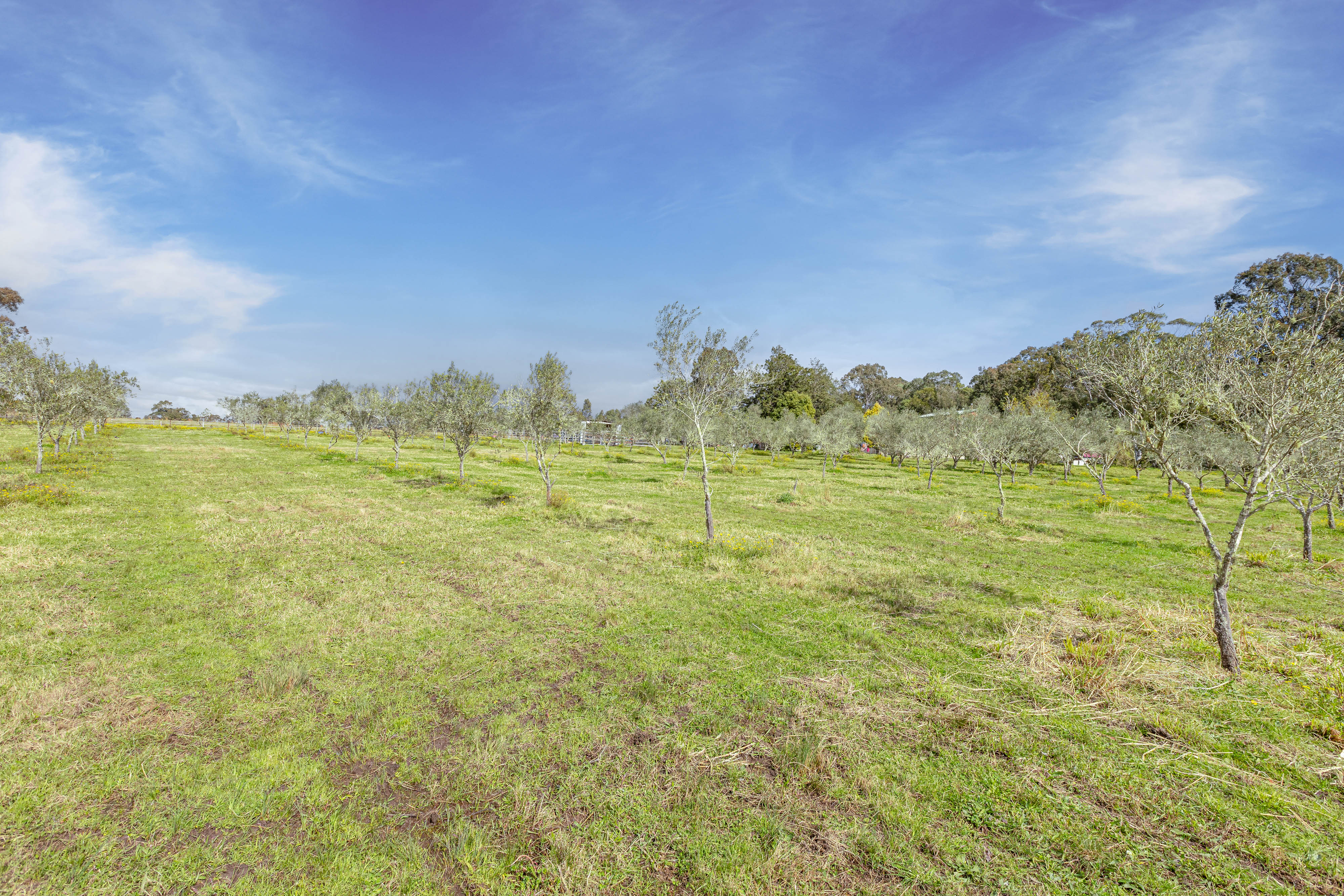 4-bedroom house at 124 Duns Creek Road, Duns Creek, Nsw, 2321, Port Stephens, New South Wales