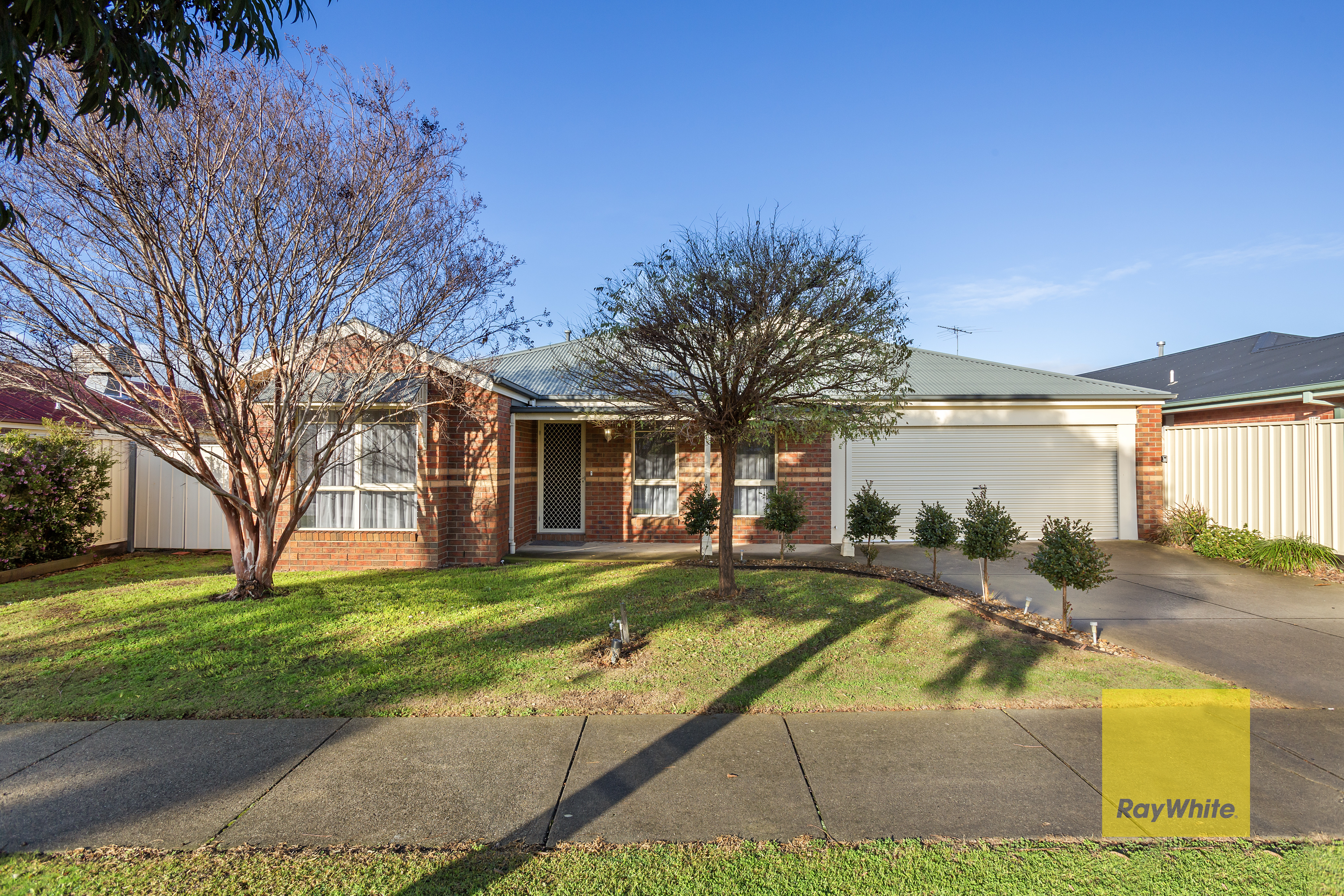 8 Smith Street, Grovedale, VIC 3216 - Image 1