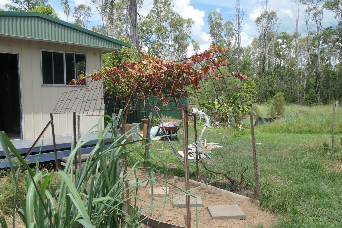 1-bedroom unit at 12 Lyons Street, Rappville, NSW 2469, Richmond Valley, New South Wales