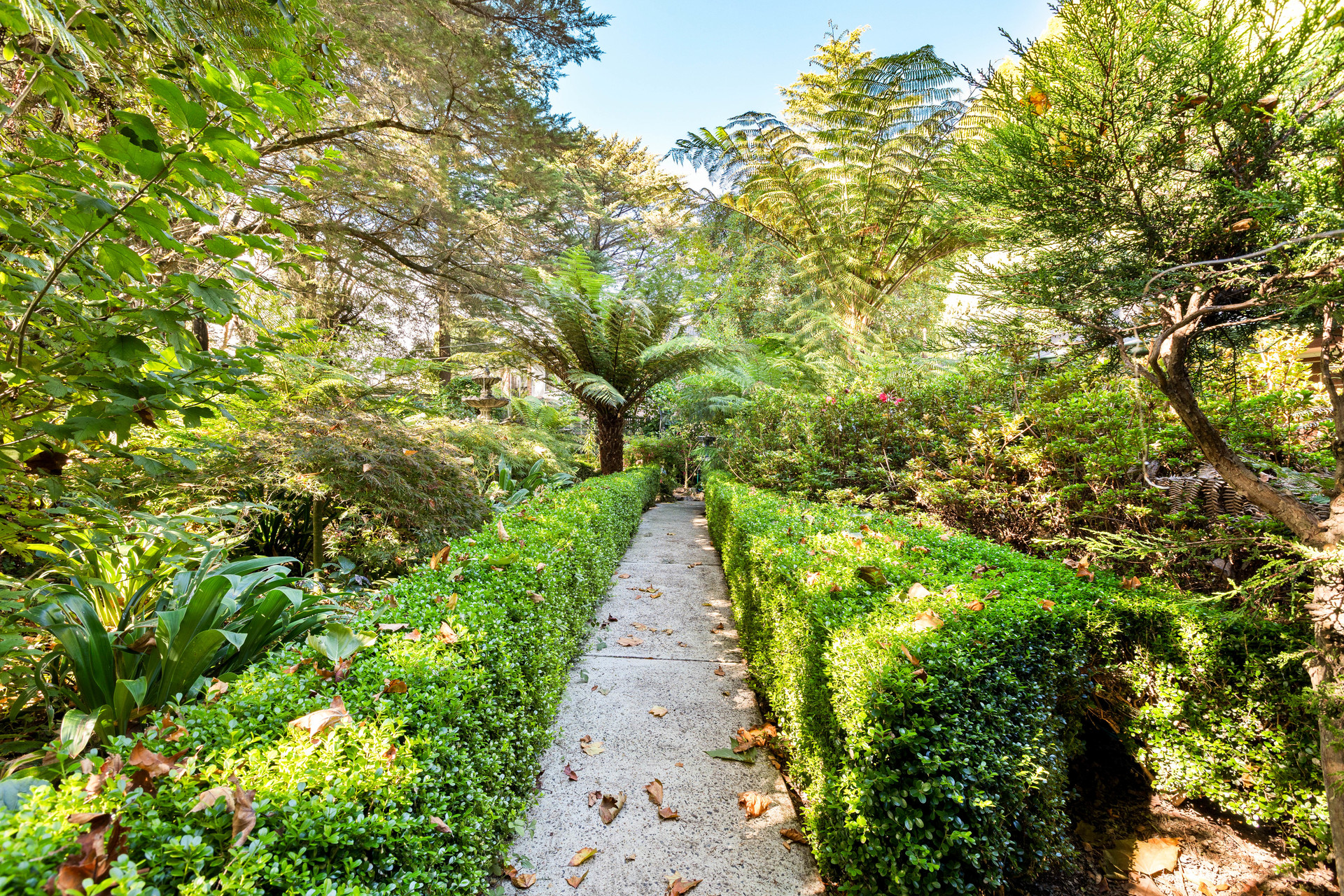 3-bedroom house at 23 Nelson Avenue, Wentworth Falls, NSW 2782, Blue Mountains, New South Wales