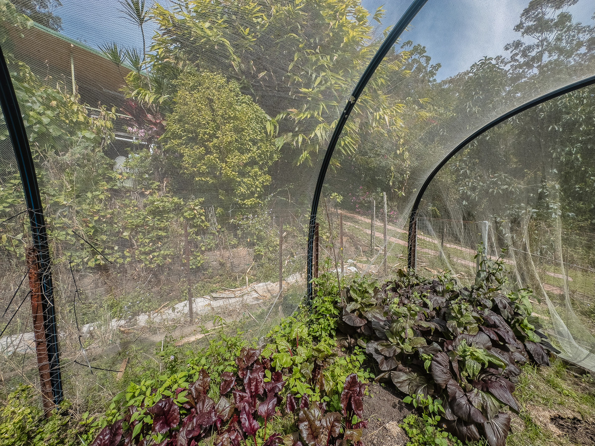 3-bedroom house at Share 38/193 Hidden Valley Road, Eungella, Nsw, 2484, Tweed, New South Wales