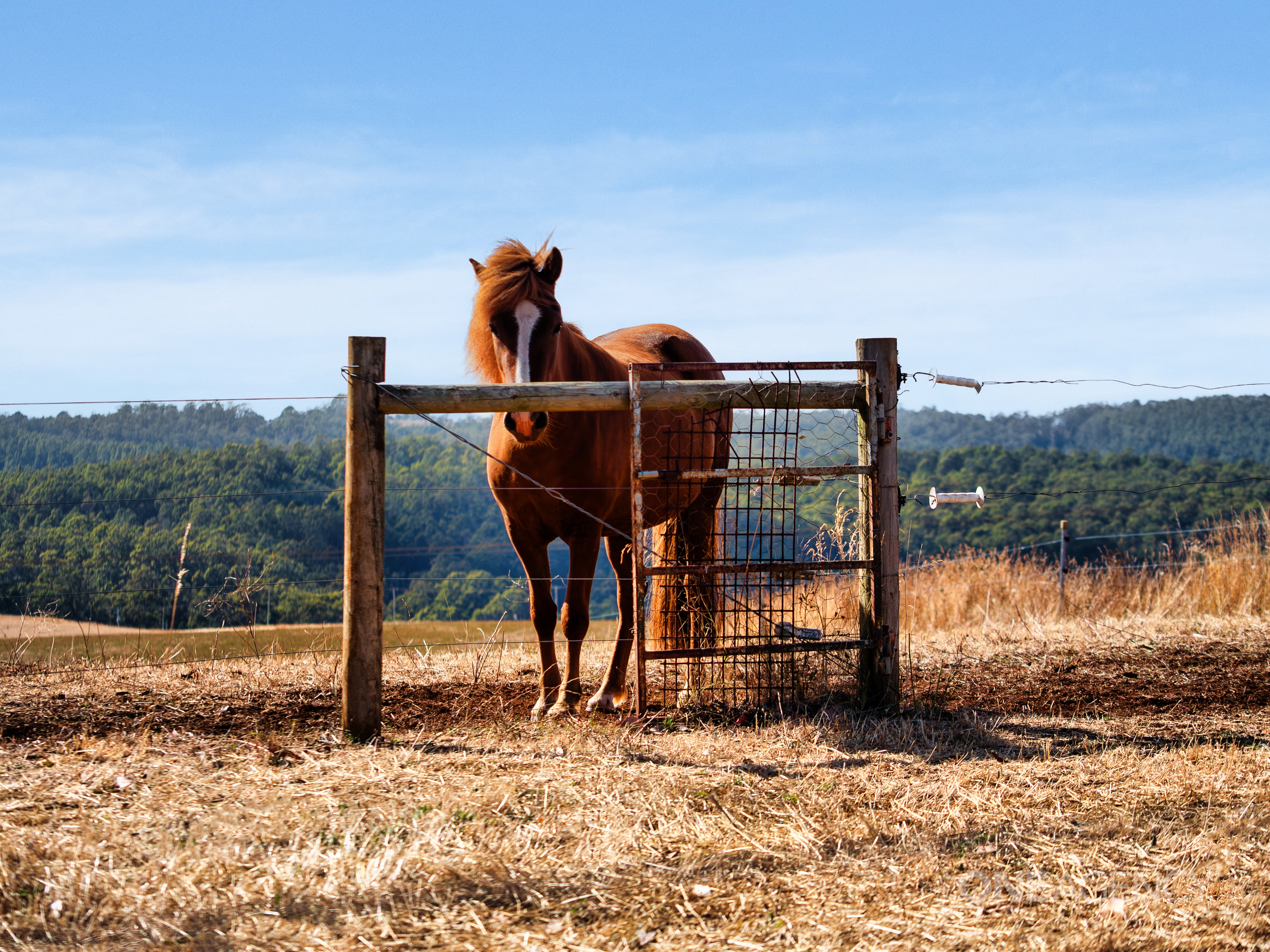 5-bedroom house at 592 Murchison Highway, Elliott, TAS 7325, Waratah-Wynyard, Tasmania