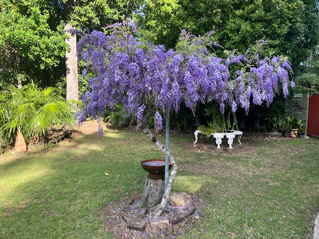 3-bedroom house at 698 Cawongla Road, Larnook, NSW 2480, Lismore, New South Wales