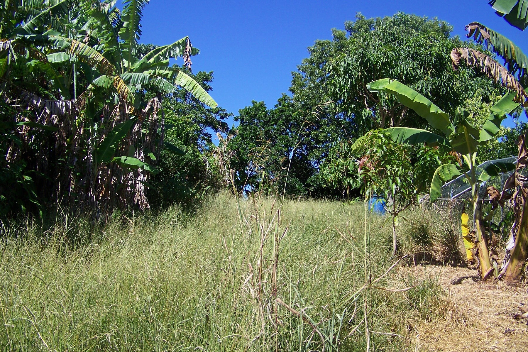 29 Pine Avenue, Lamb Island, Qld, 4184 - Image 7