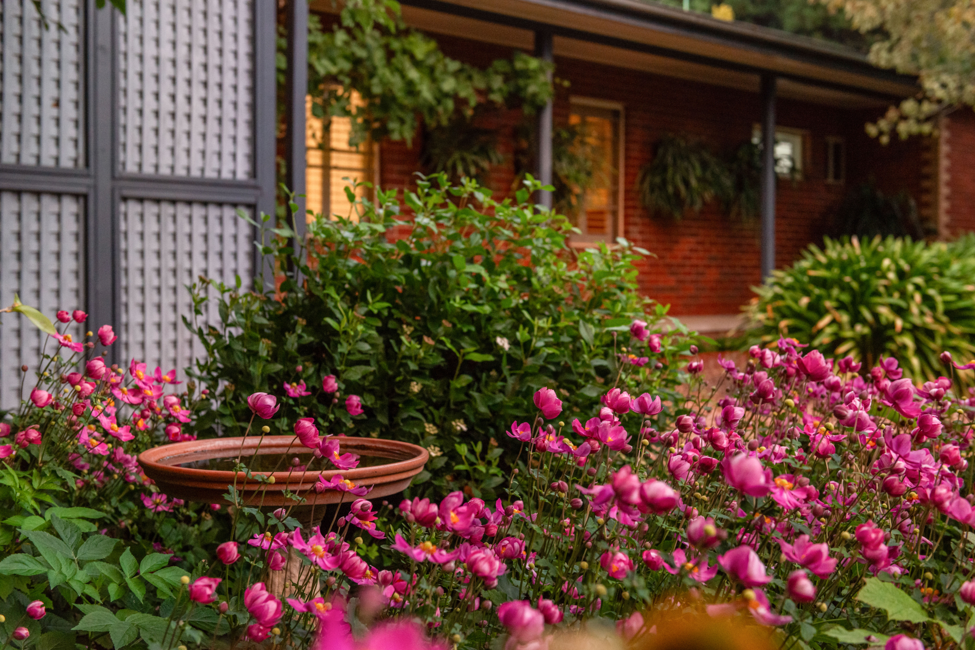 5-bedroom house at 1 Tucker Street, Malmsbury, VIC 3446, Macedon Ranges, Victoria