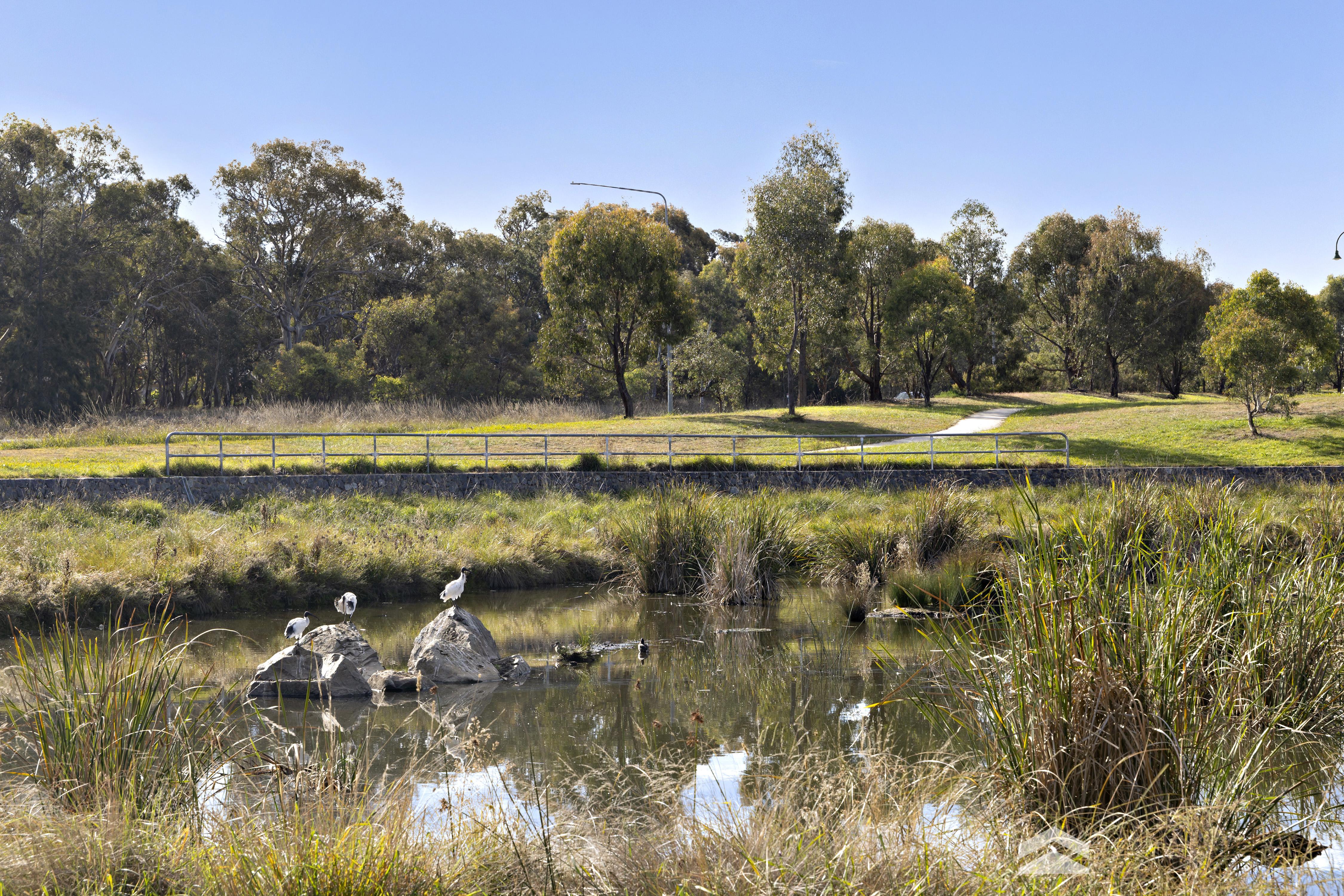 13 WARABIN CRESCENT, Ngunnawal ACT 2913 - Image 9