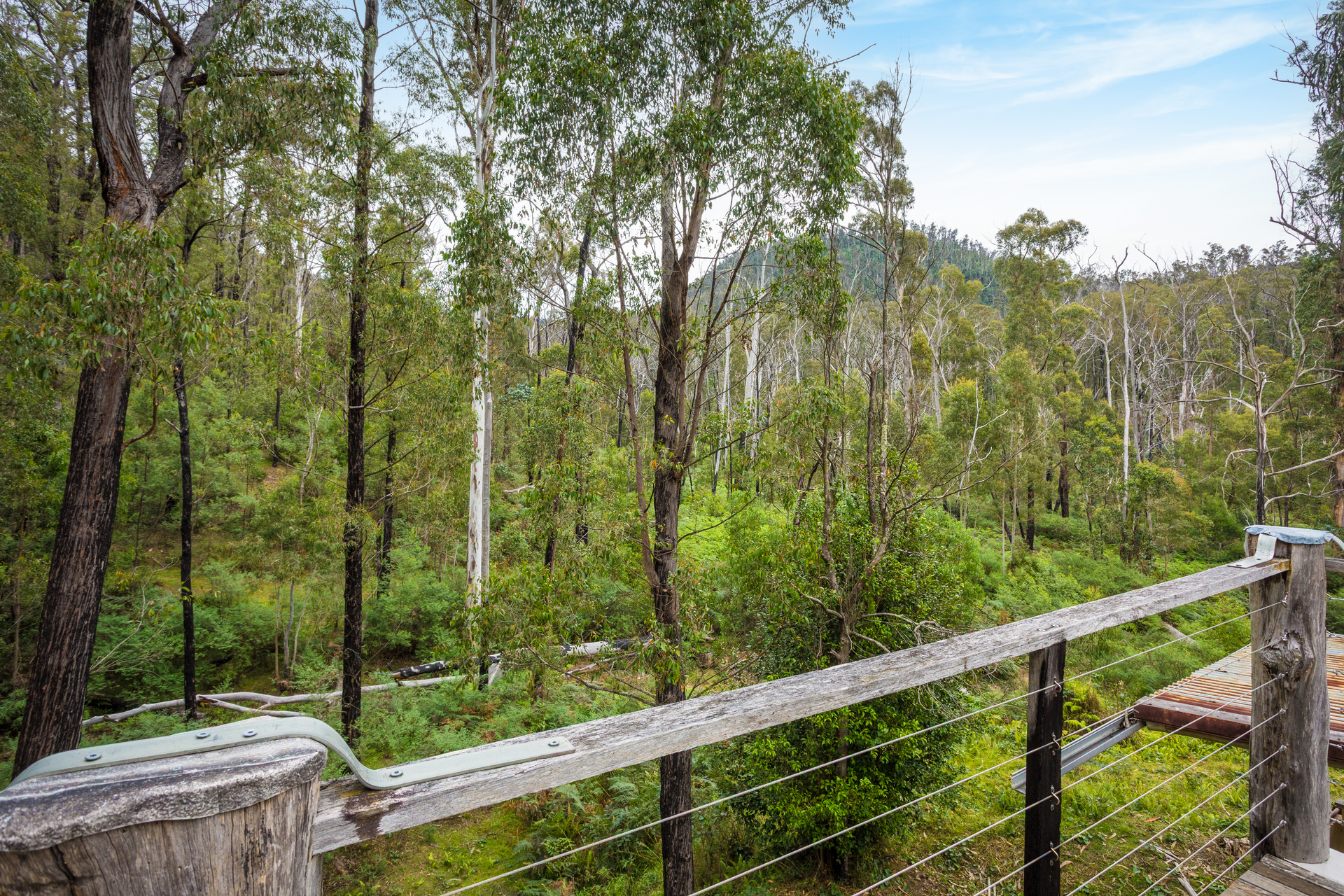 4-bedroom house at KOOROOL 1227 TANTAWANGALO MOUNTAIN ROAD, TANTAWANGALO NSW 2550, Bega Valley, New South Wales