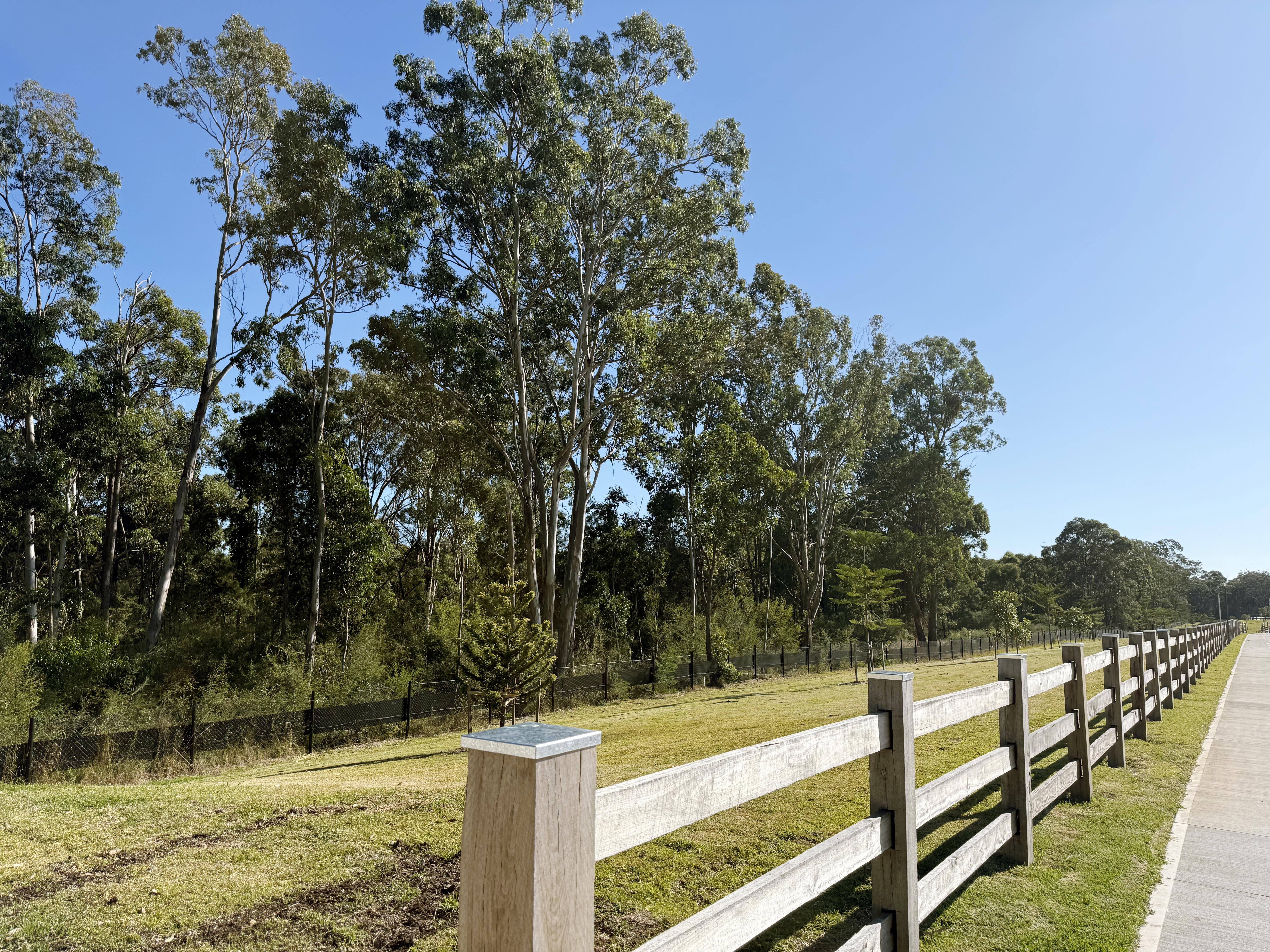 52 Cornelius Street, Appin, Nsw, 2560 - Image 7