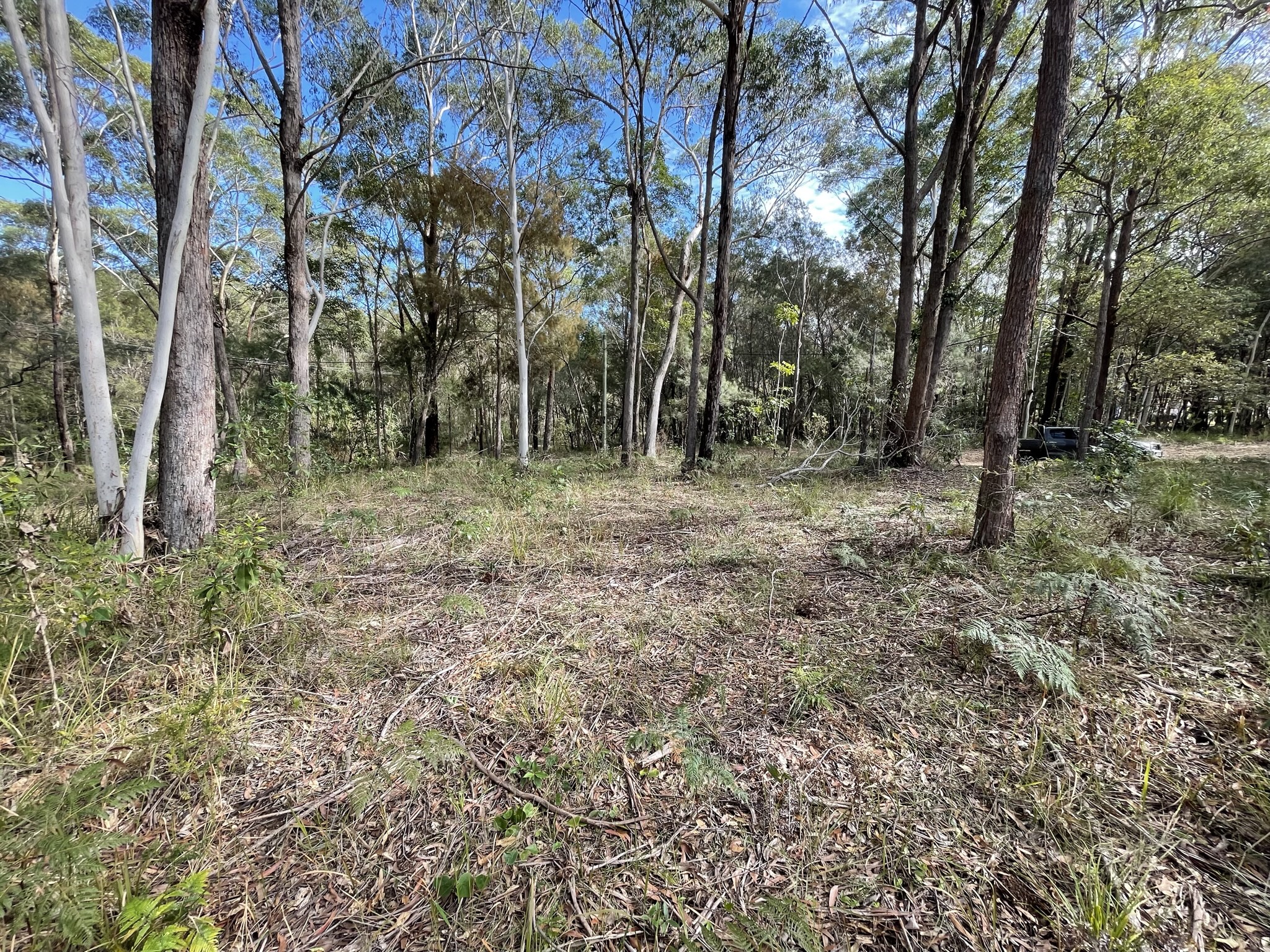 2 Canopy Crescent, Russell Island, Qld, 4184 - Image 1