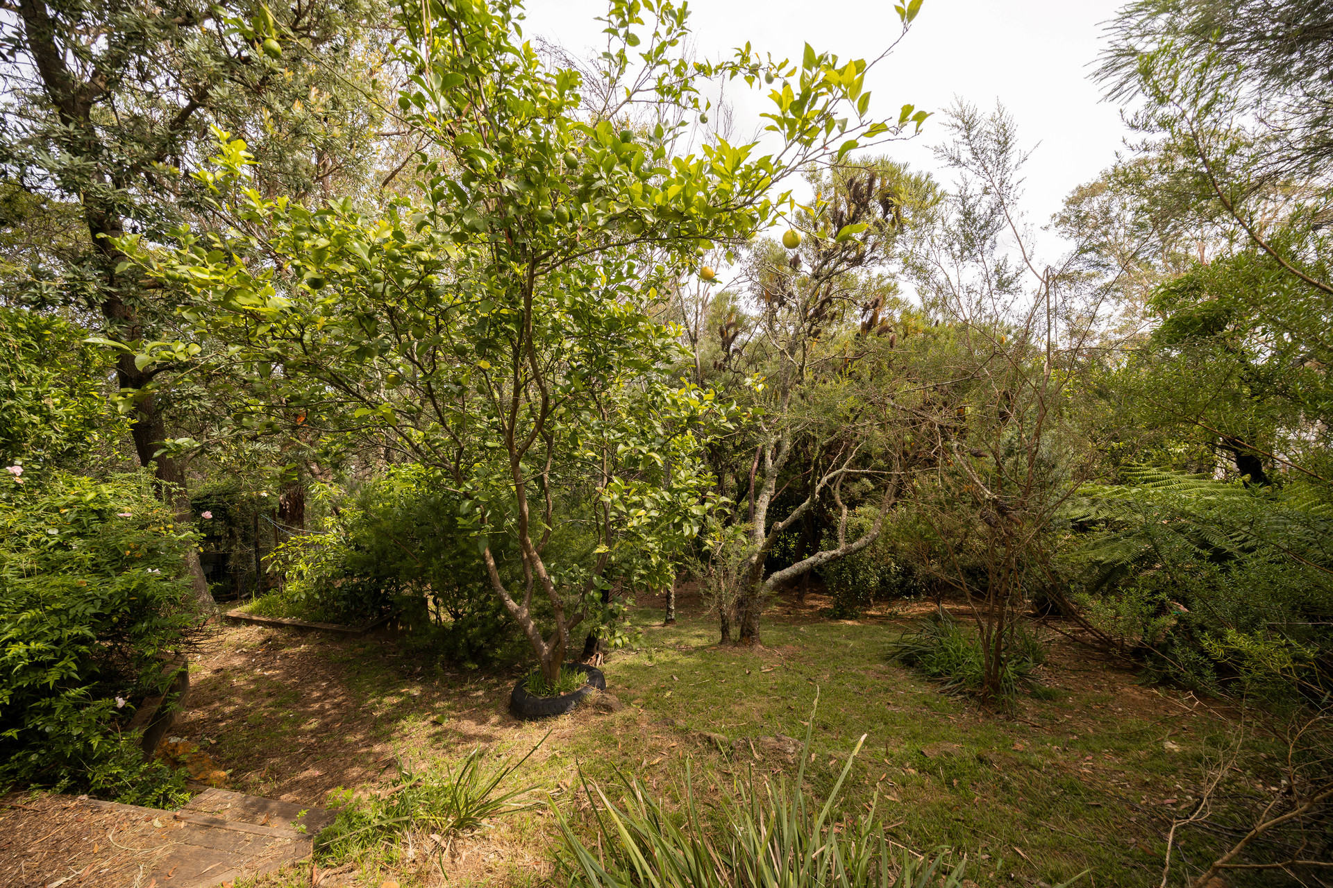 3-bedroom house at 63 Lawson View Parade, Wentworth Falls, NSW 2782, Blue Mountains, New South Wales