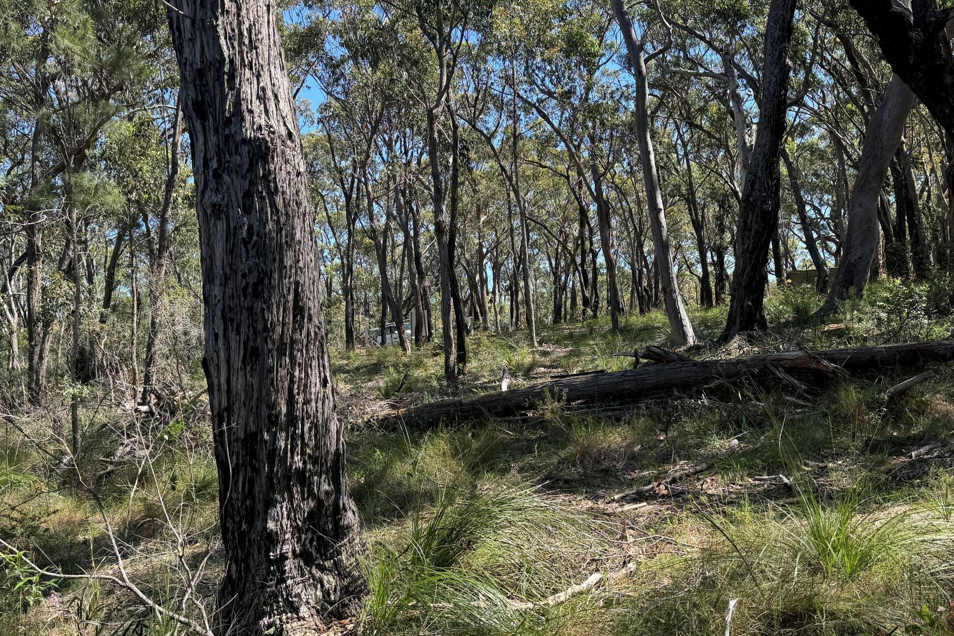 22 Carrington Avenue, Pindimar, Nsw, 2324 - Image 1