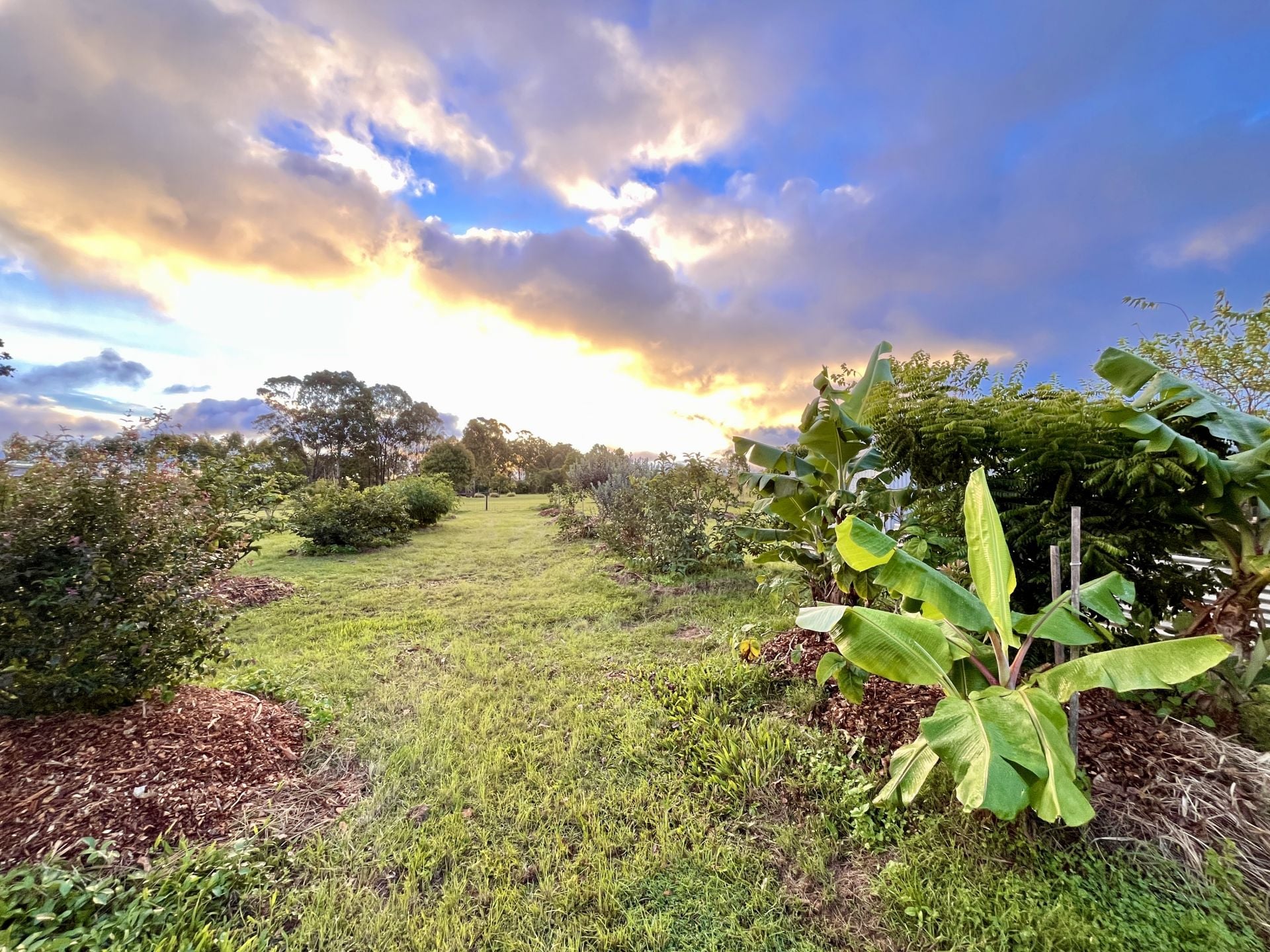 3-bedroom house at 84 GORDON EARL DRIVE, Millstream QLD 4888, Tablelands, Queensland
