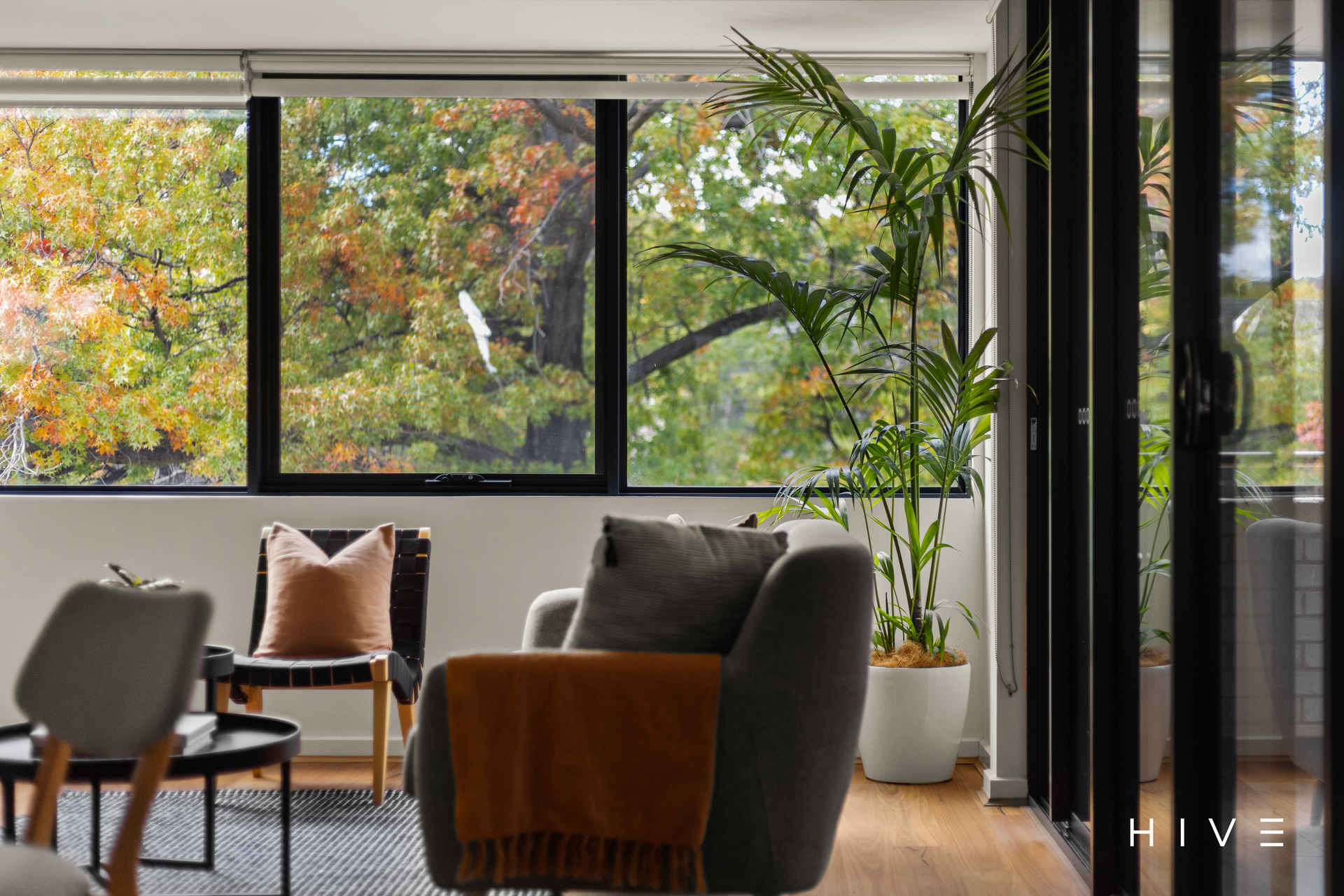 2-bedroom unit at 4 79 TORRENS STREET, BRADDON ACT 2612, Unincorporated Act, Australian Capital Territory