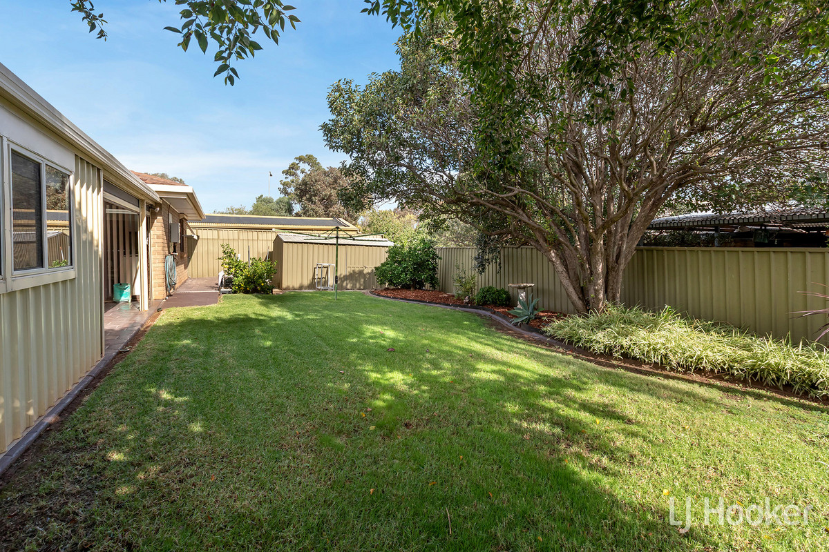 3-bedroom house at 3 SPRINGVALE DRIVE, Blakeview SA 5114, Playford, South Australia