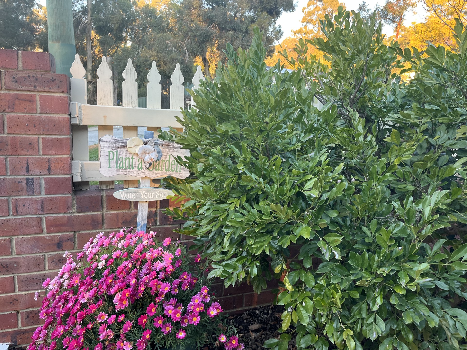 3-bedroom house at 18 Waylen Road, Darlington, WA 6070, Mundaring, Western Australia