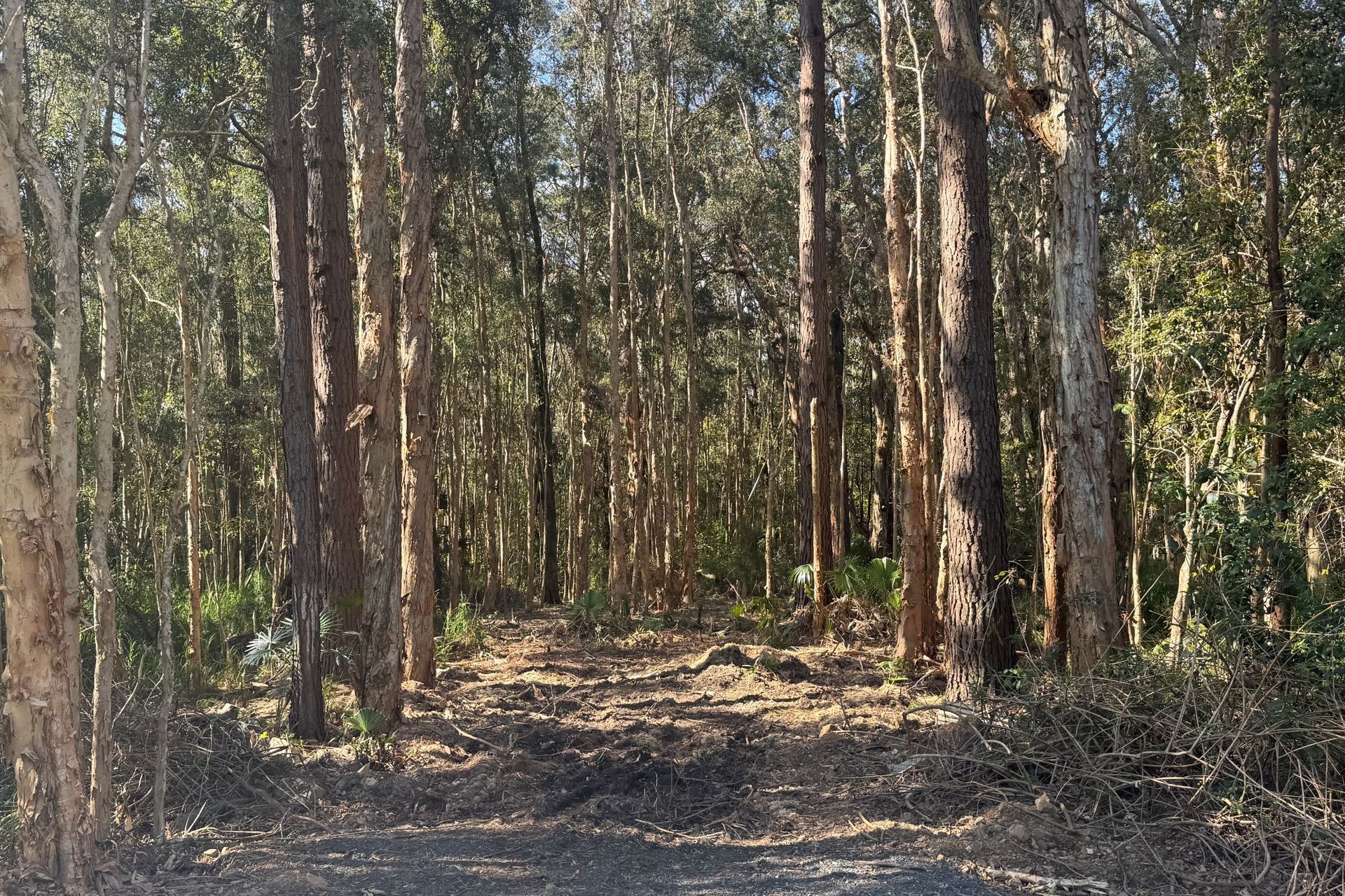 13 Kiora Street, Pindimar, Nsw, 2324 - Image 1