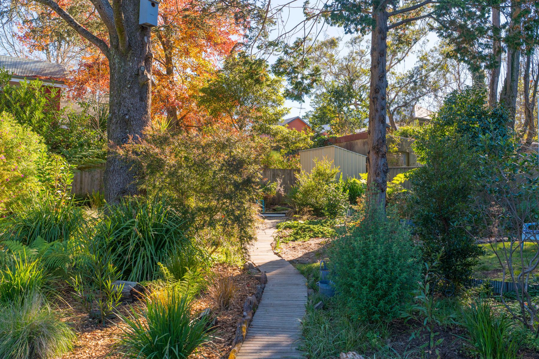 3-bedroom house at 23 Holmes Street, Leura, NSW 2780, Blue Mountains, New South Wales