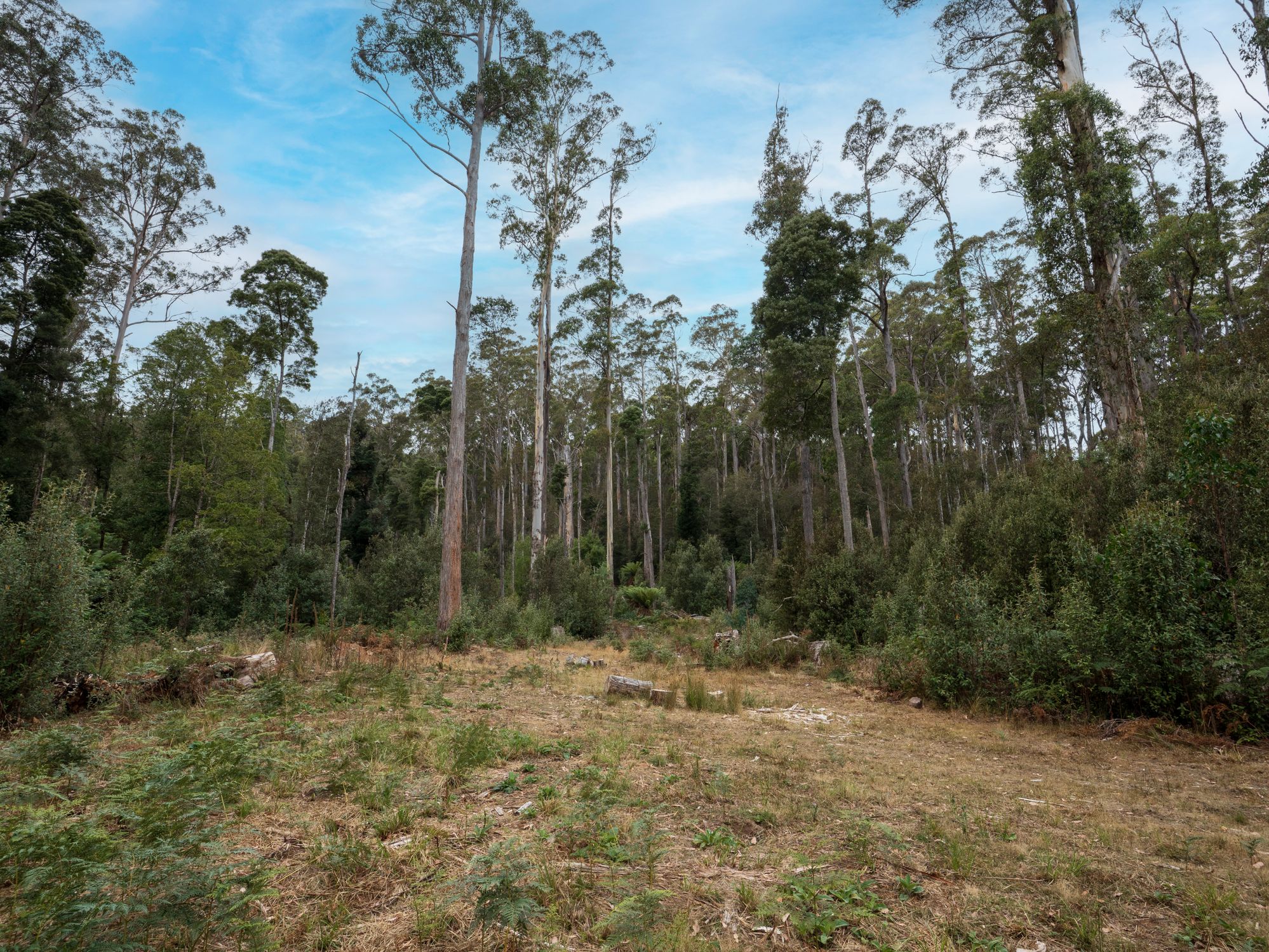 1-bedroom house at 167 LAKE BARRINGTON ROAD, Wilmot TAS 7310, Kentish, Tasmania