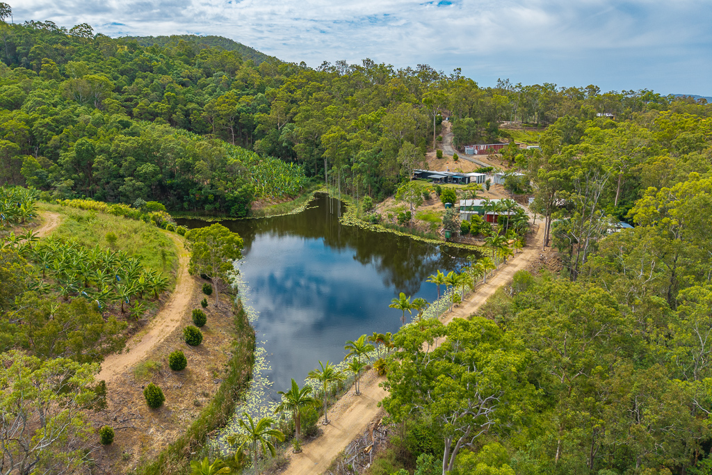 349 Jackson Road, Wamuran, Qld, 4512 - Image 8