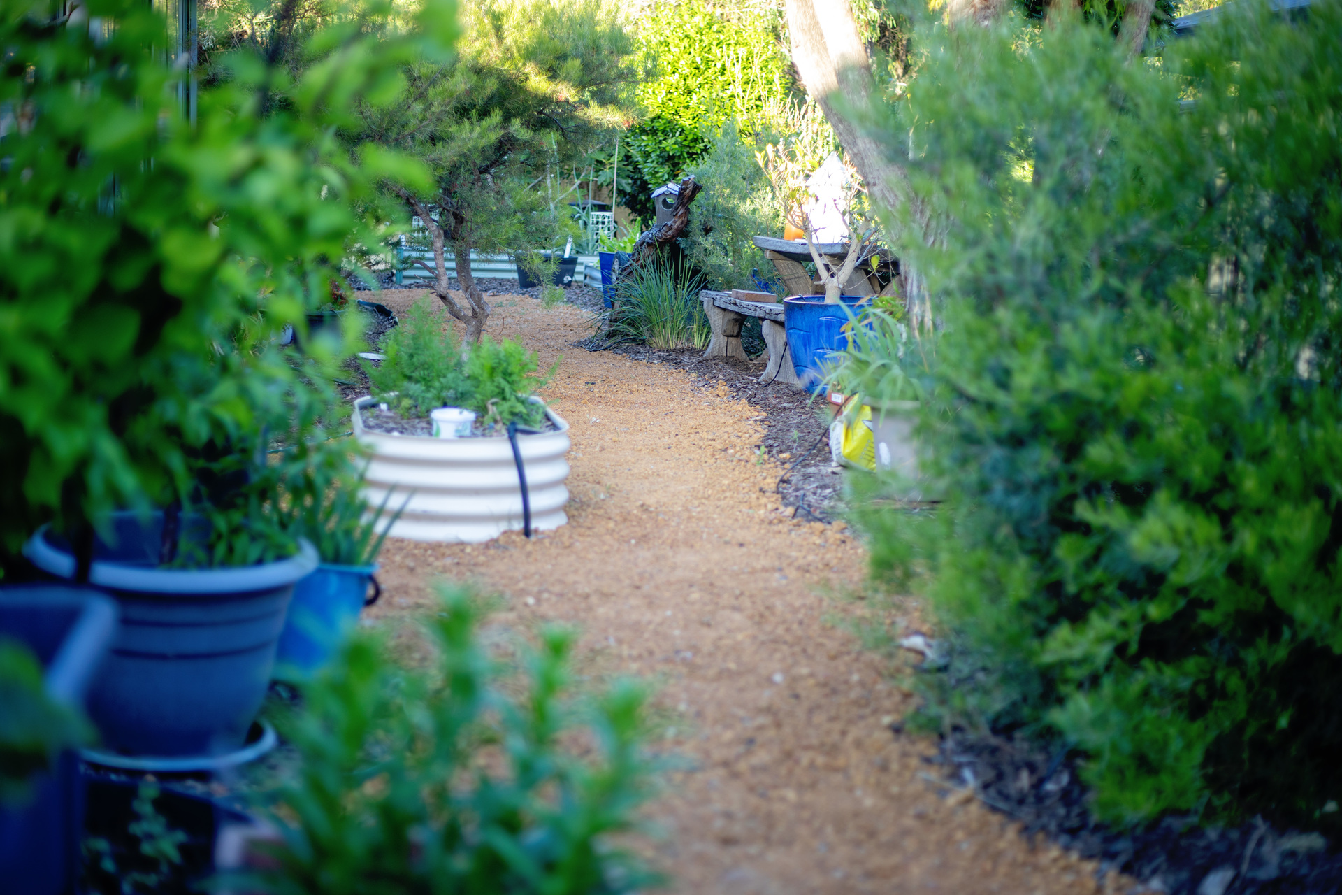 4-bedroom house at 24 Templetonia Drive, Hopetoun, WA 6348, Ravensthorpe, Western Australia